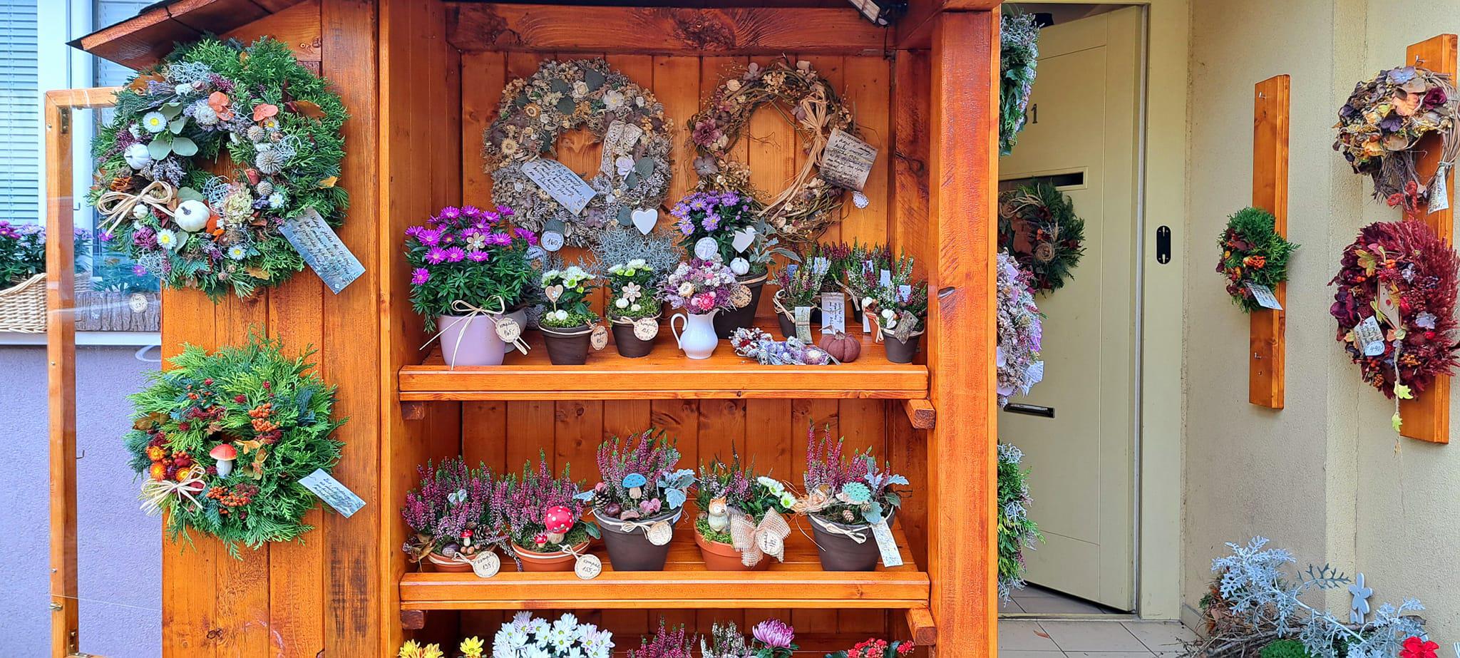 Úsměvná terapie - Kineziologie One Brain foto 6