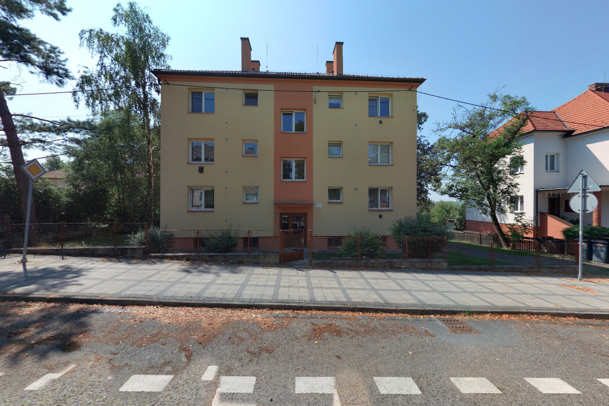 Pueraria-mirifica.cz foto 2