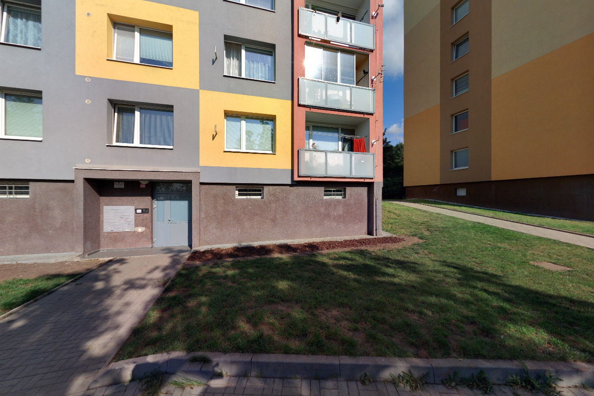 Lesní práce Dzurová foto 5