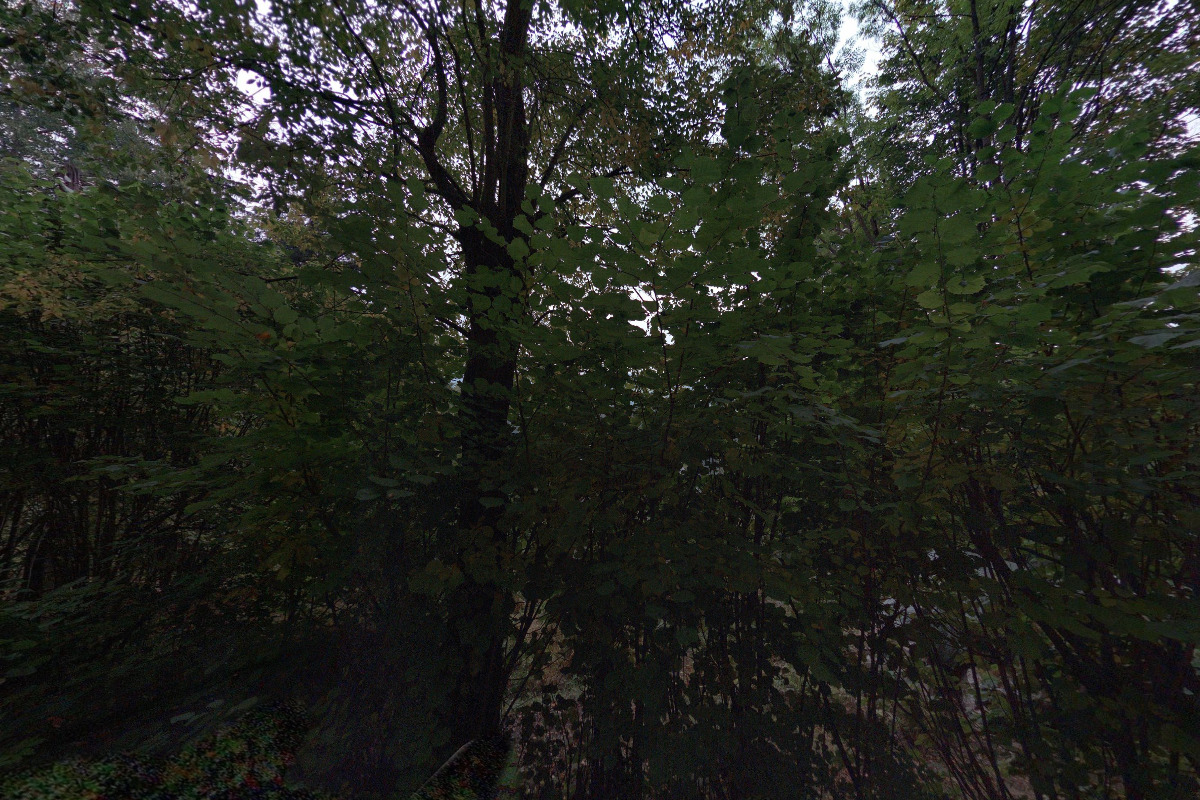 Chalupa Pod Skalou II.