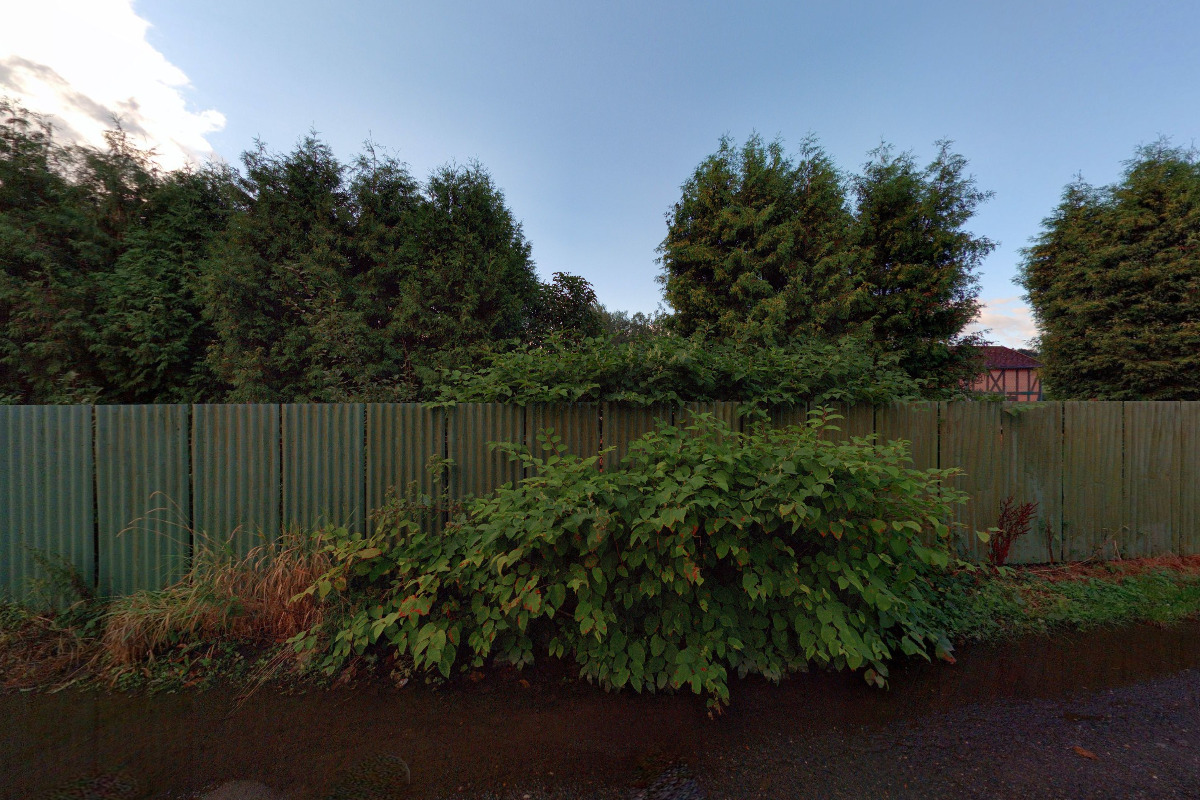 TJ Start Liberec foto 3