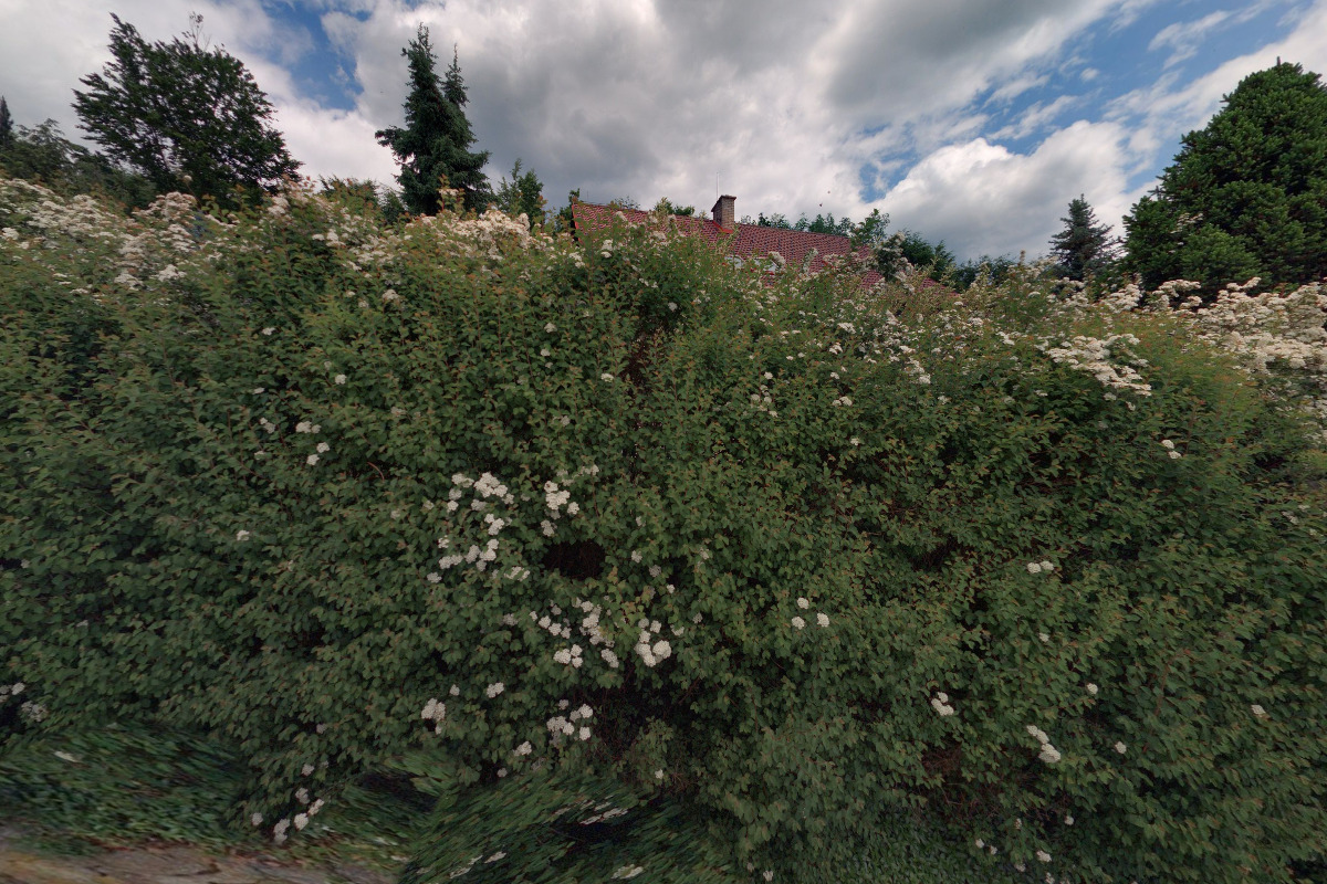 JUDr. Jana Holubcová, advokátka