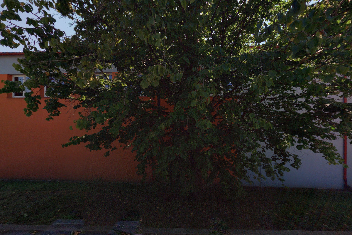 SKC Kluziště Staré Město foto 5