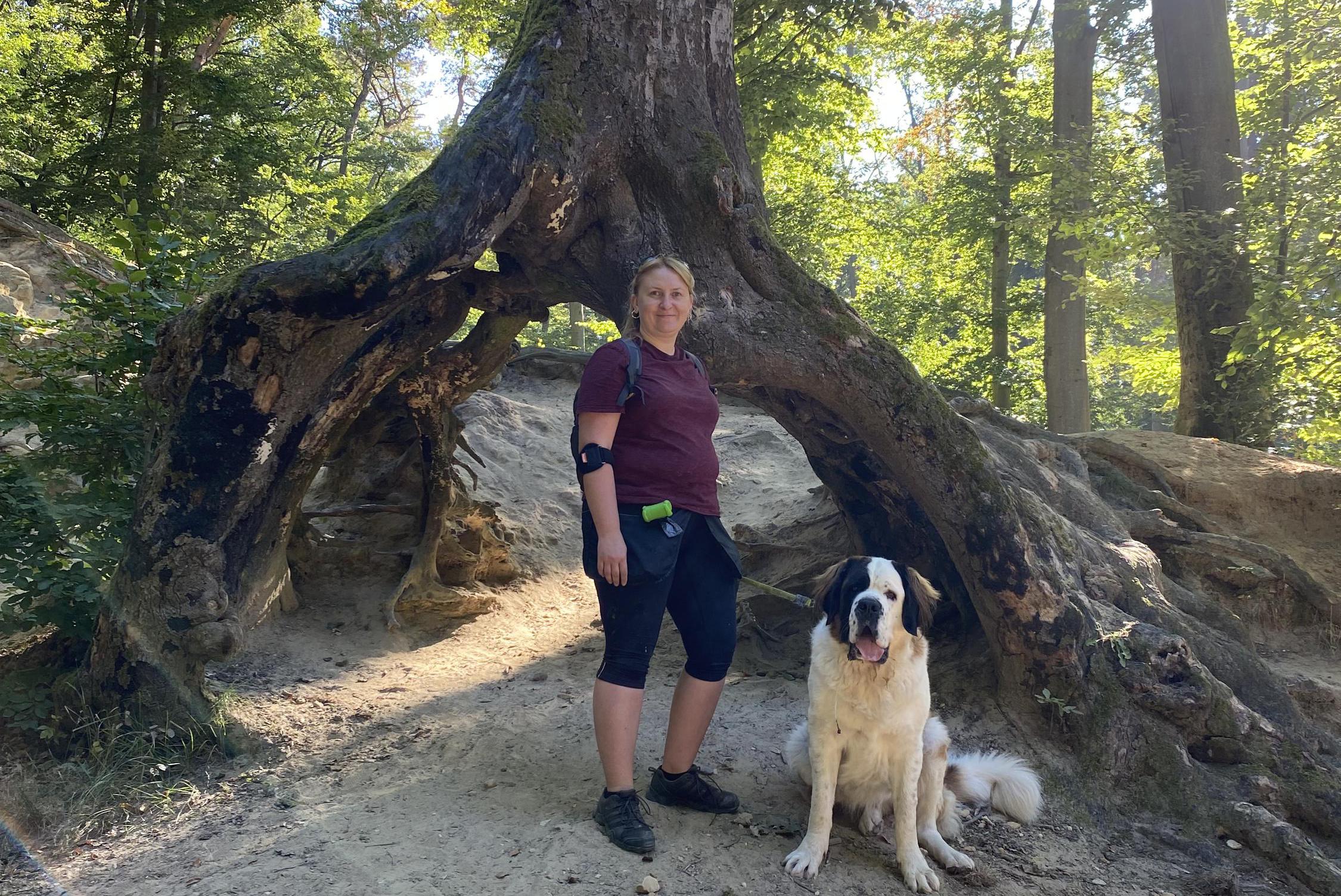 Výchova psů Evgeniya Karlova