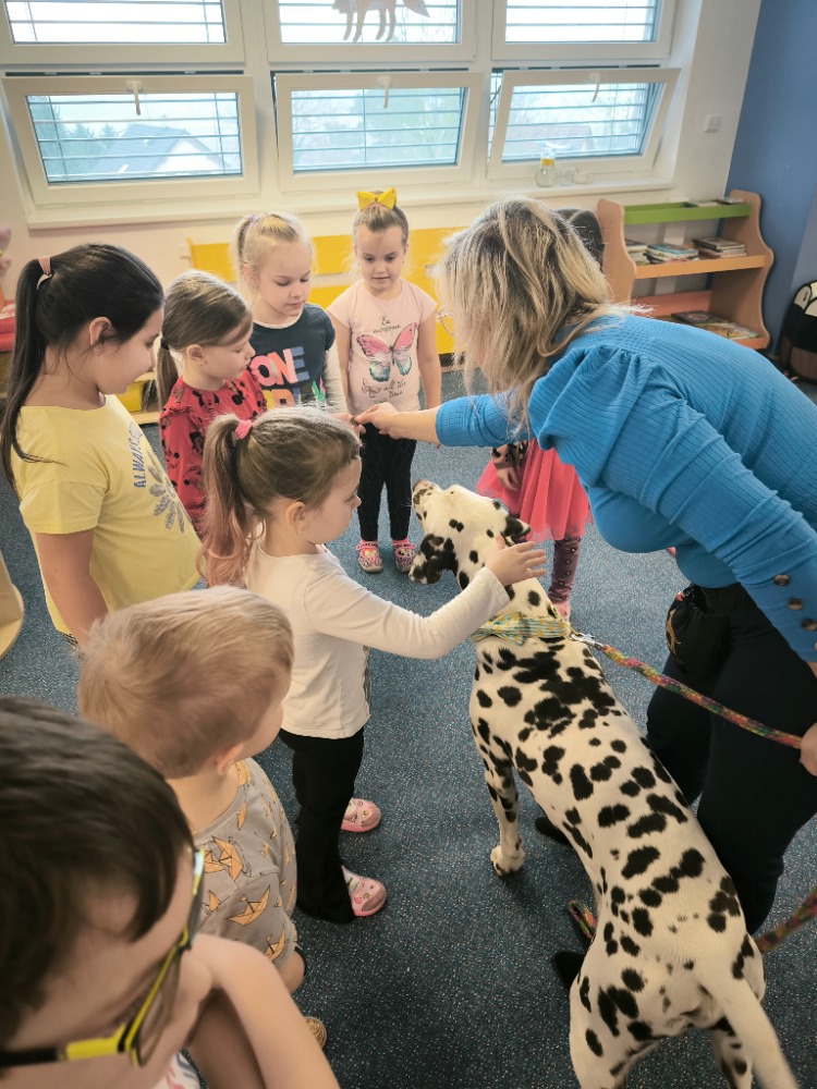 Vrtíci v lavici foto 4