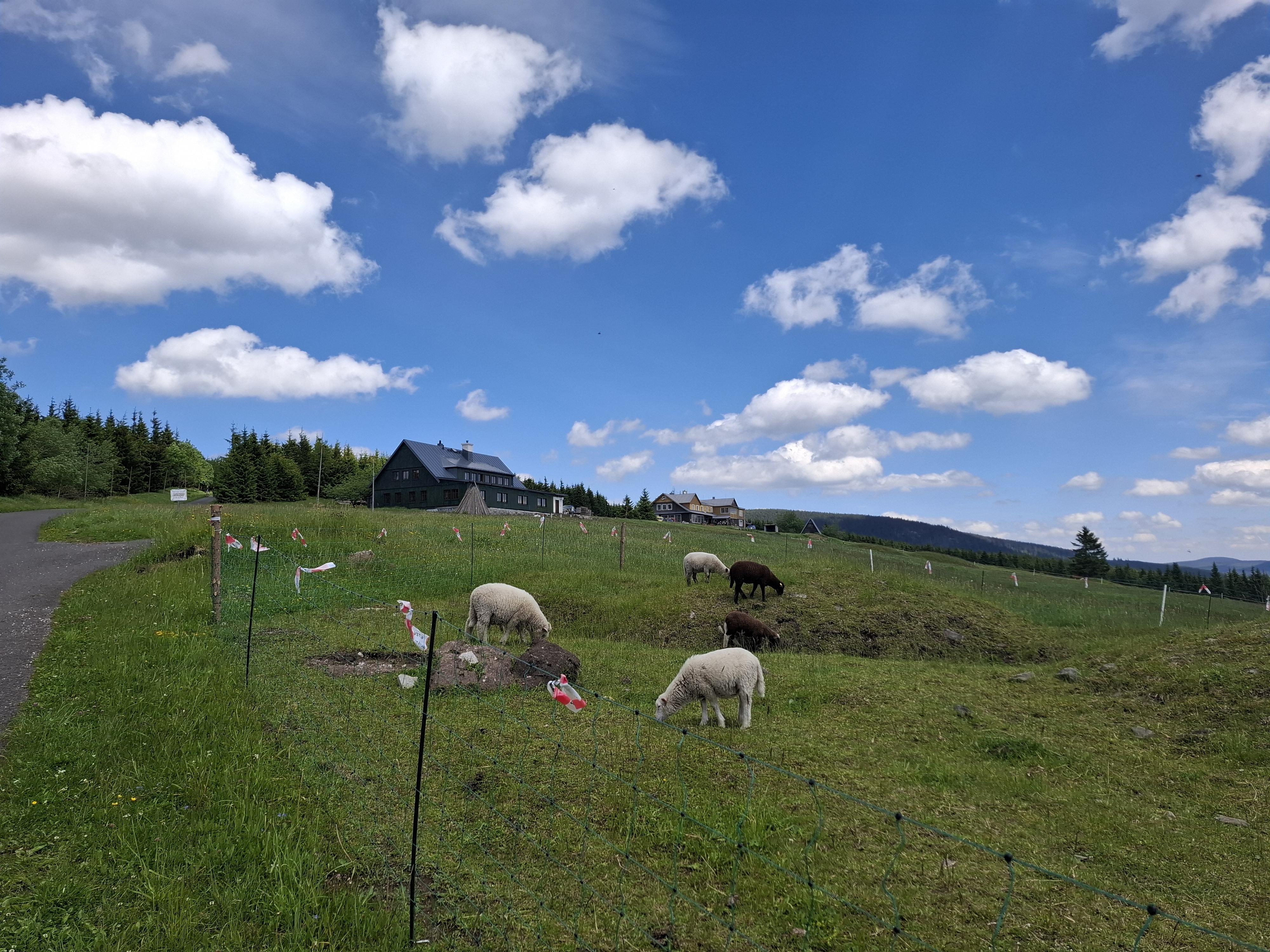 Horská chata Rozhled foto 6