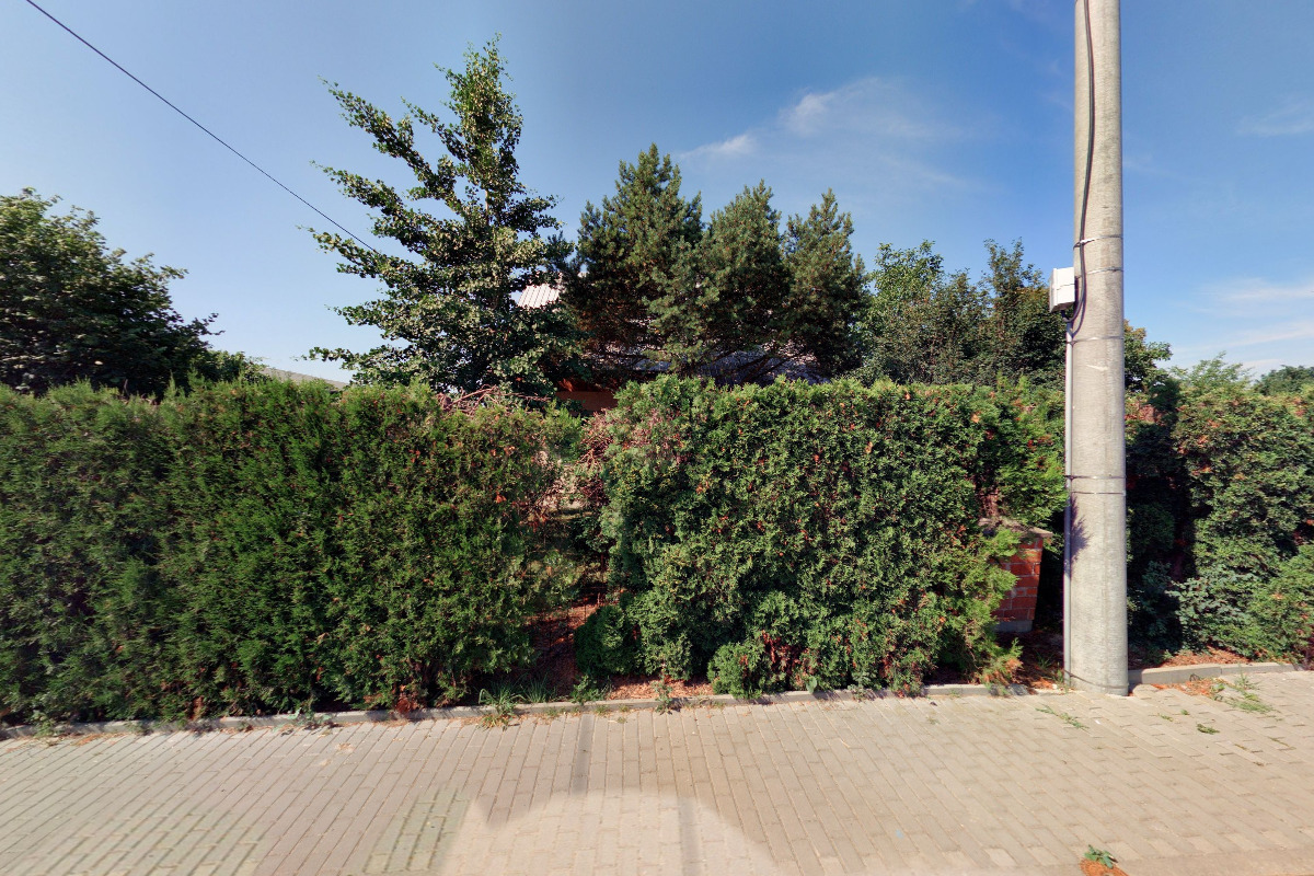 Michal Švajda - výcvik psů