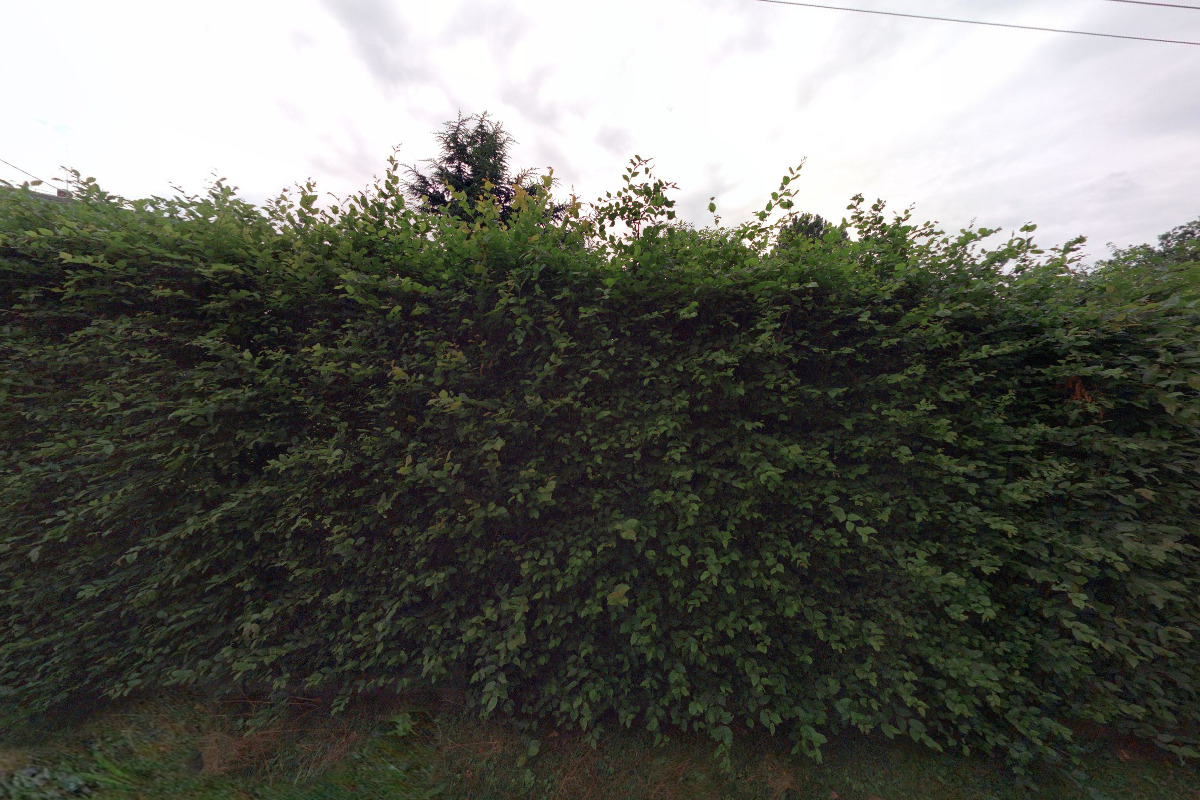 Miroslav Těhník - hromosvody