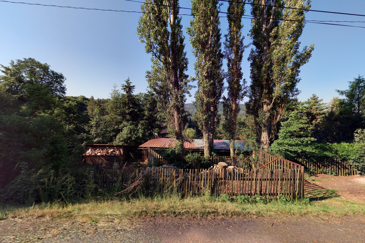 časopis Psí sporty