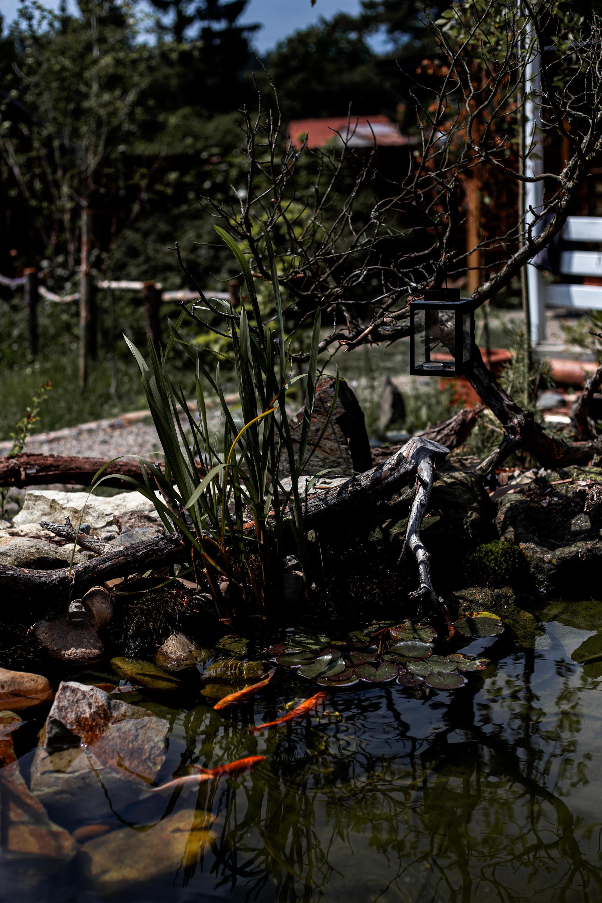 Údržba zahrad Jakub Jacko foto 2