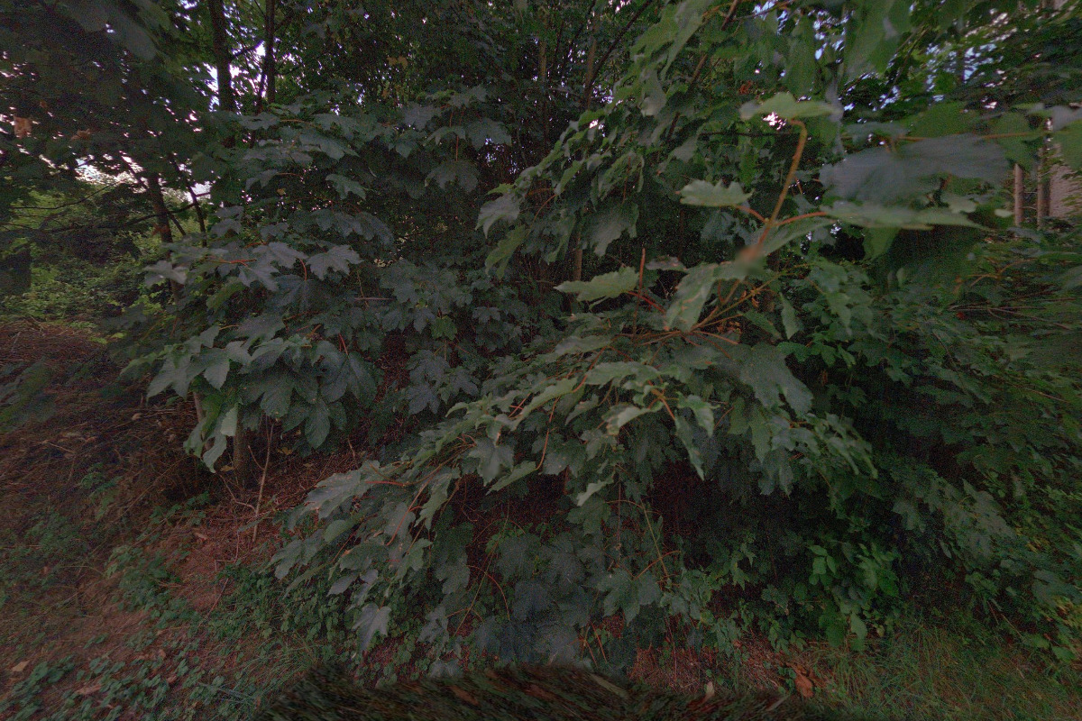 Janovská sokolovna - ubytovna foto 6