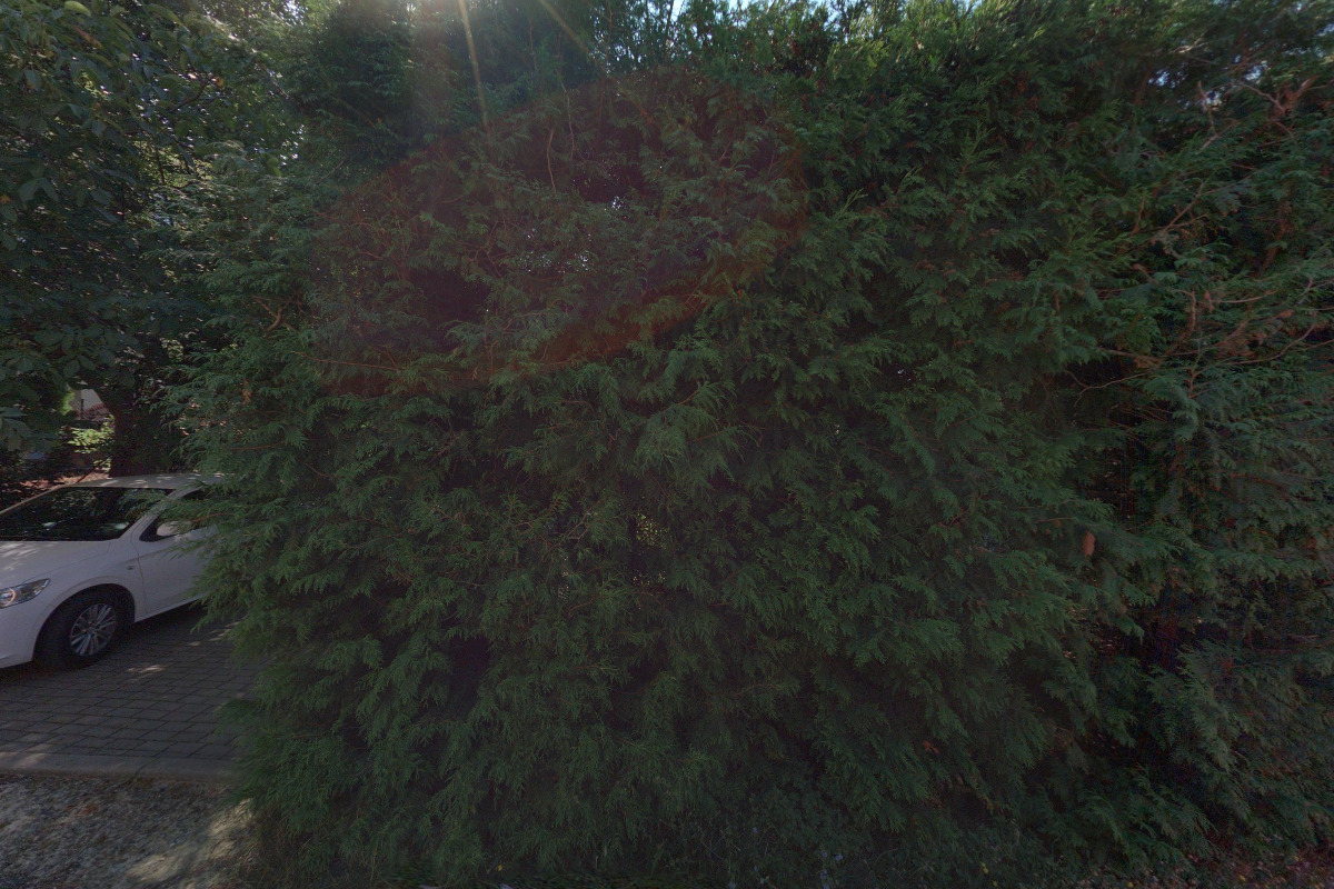 Malířský svět Bělák