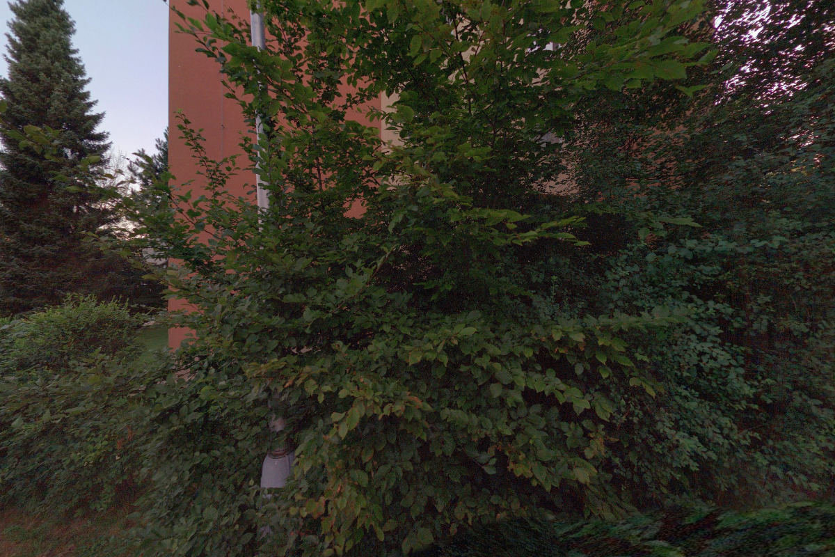 Výuka a překlady němčiny - Lenka Smolíková