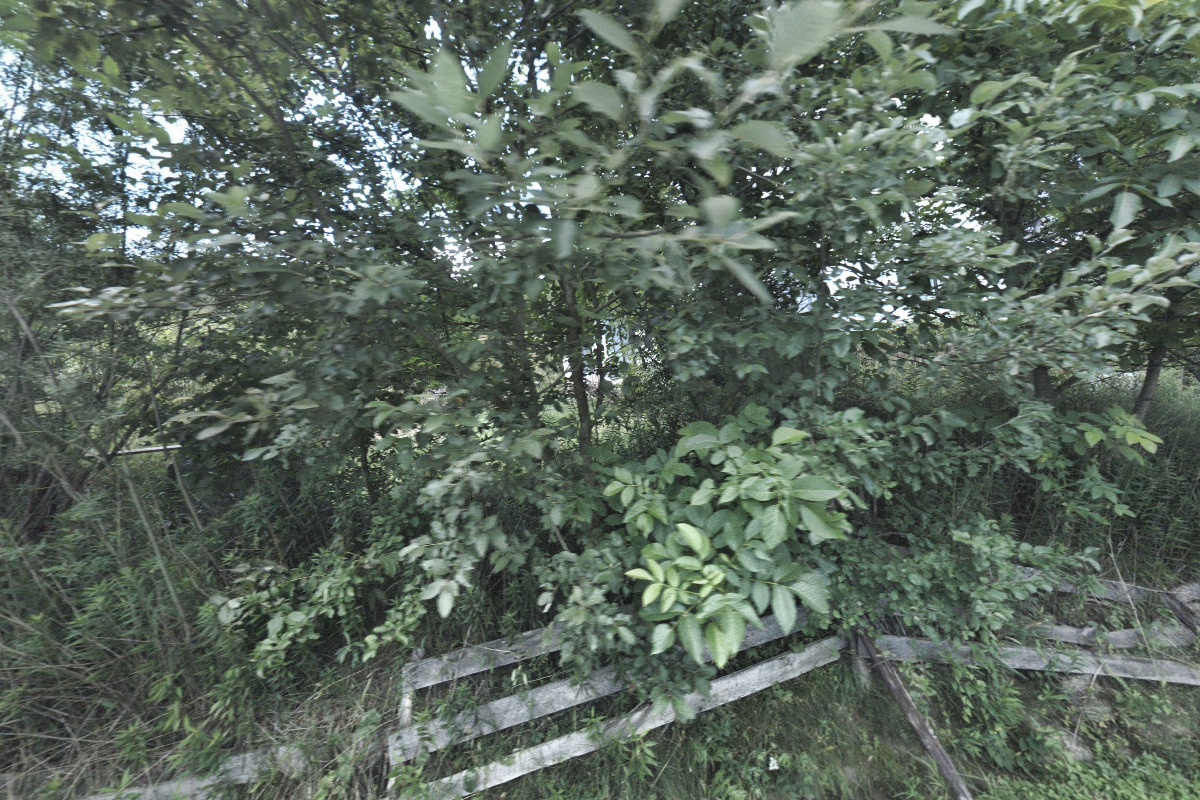 Lydie Gigerichová - GIPA