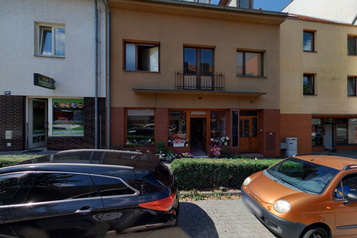 Sušené květiny velkoobchod Hádlík foto 2