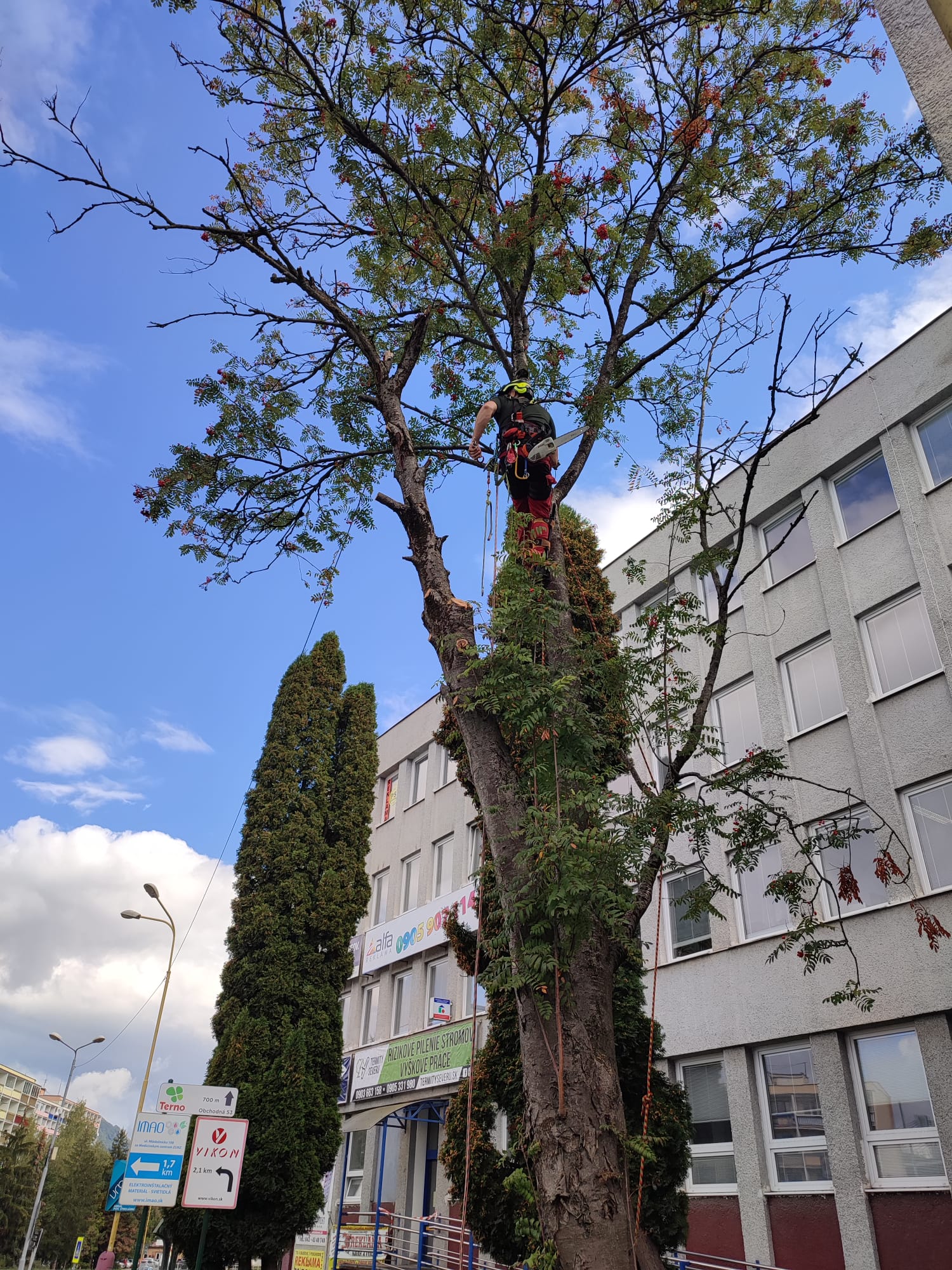 Quercus services, s.r.o. foto 4