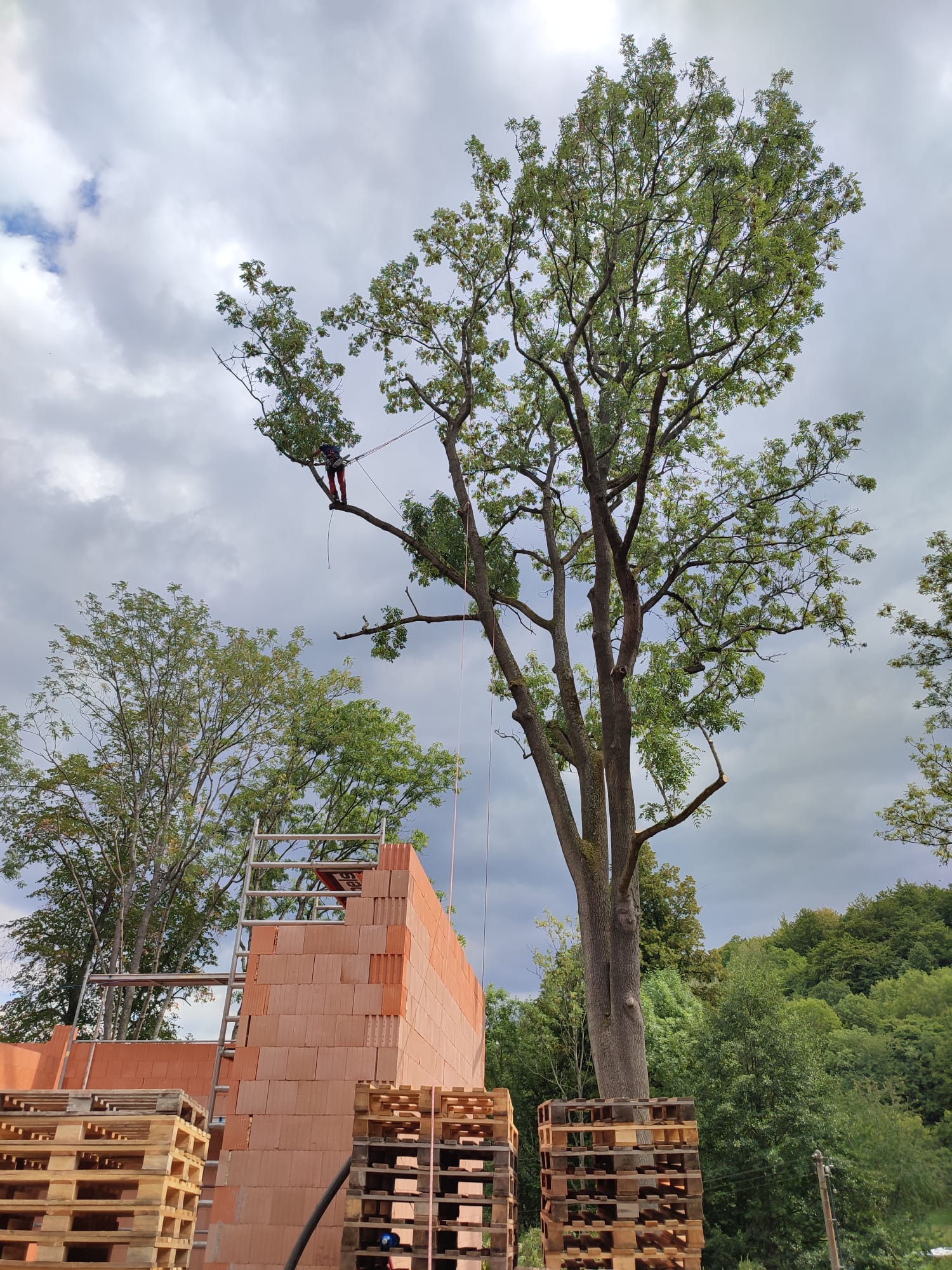Quercus services, s.r.o. foto 3