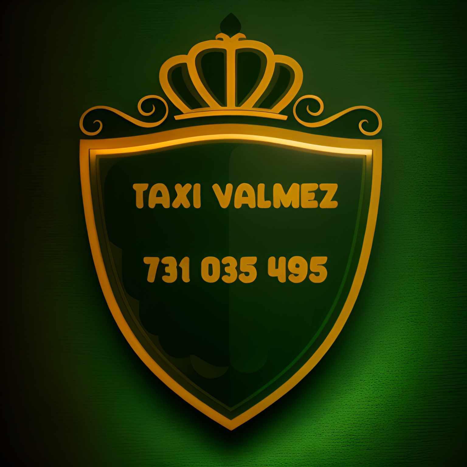 Taxi Valmez foto 6