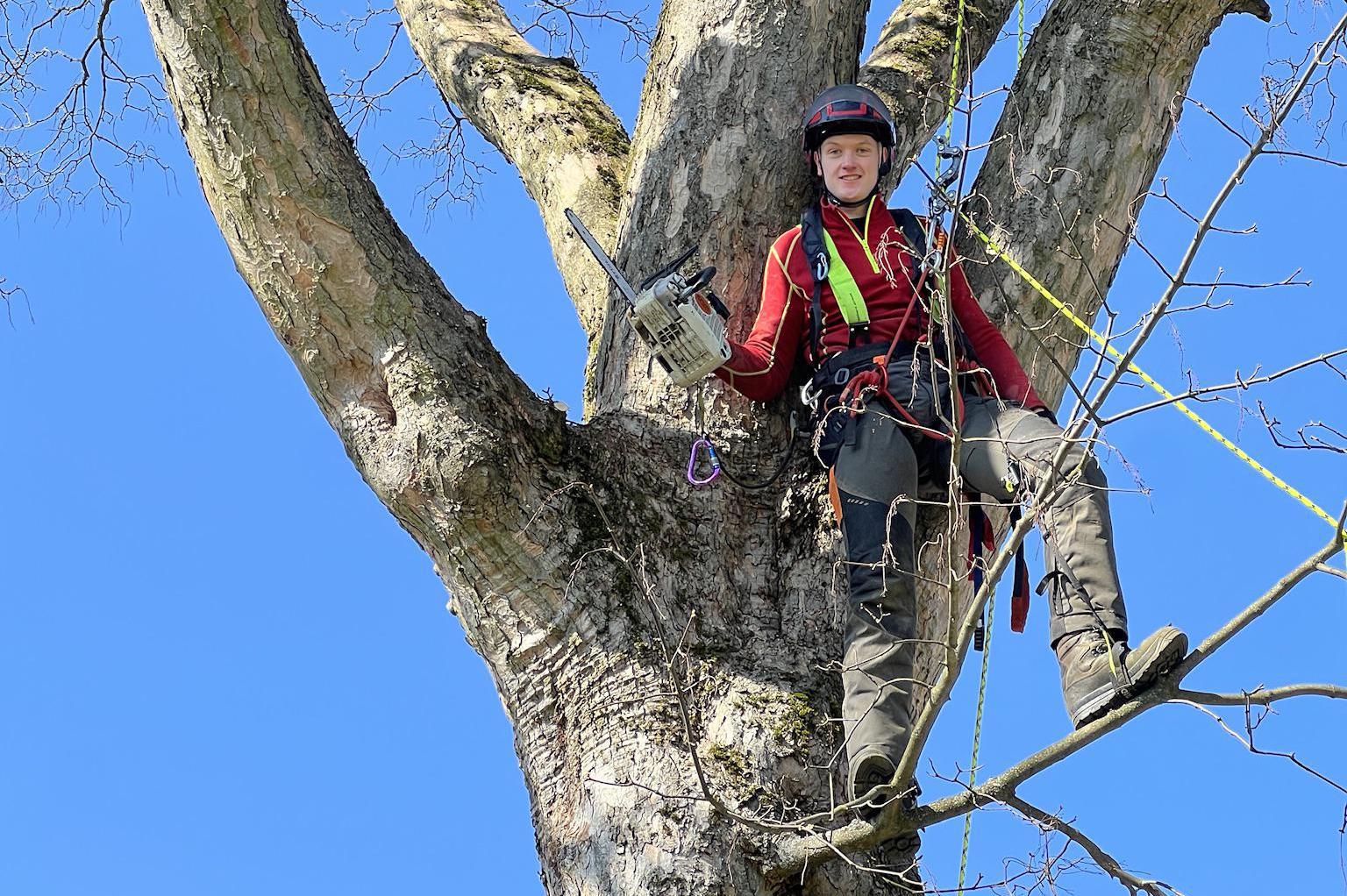 Rizikové kácení Martin Dušek