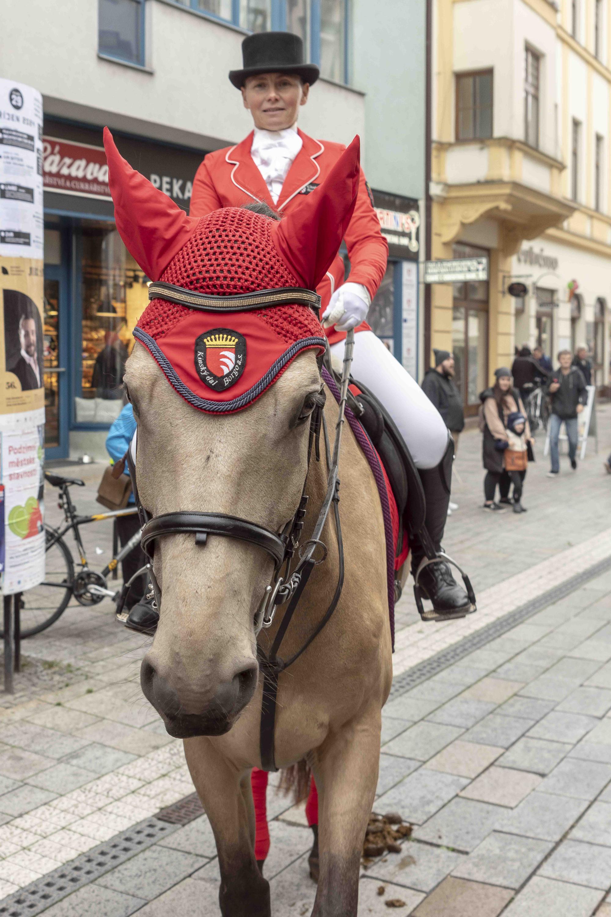 Kinský dal Borgo foto 3