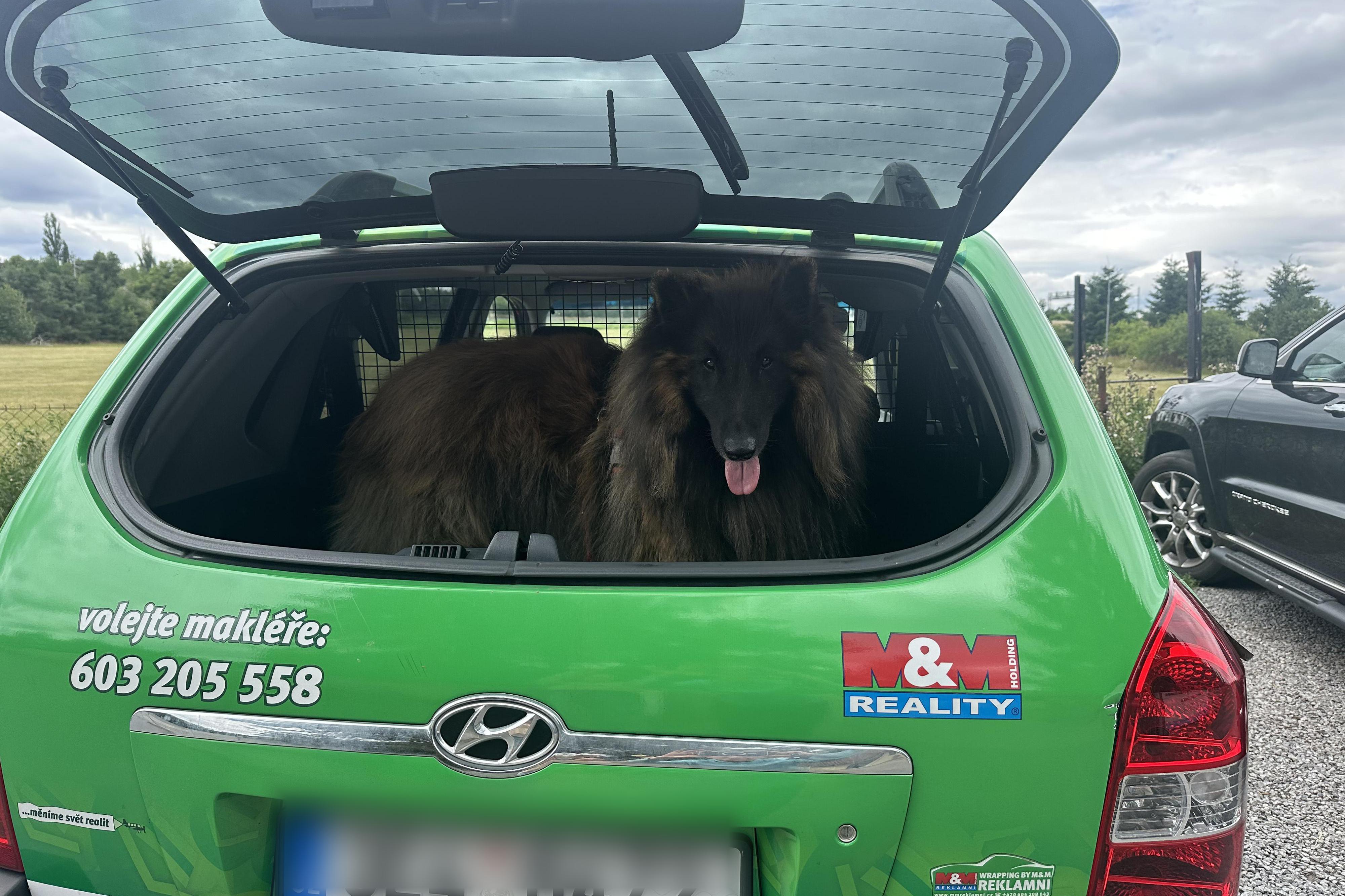 Realitní makléř  Petra Chvojková