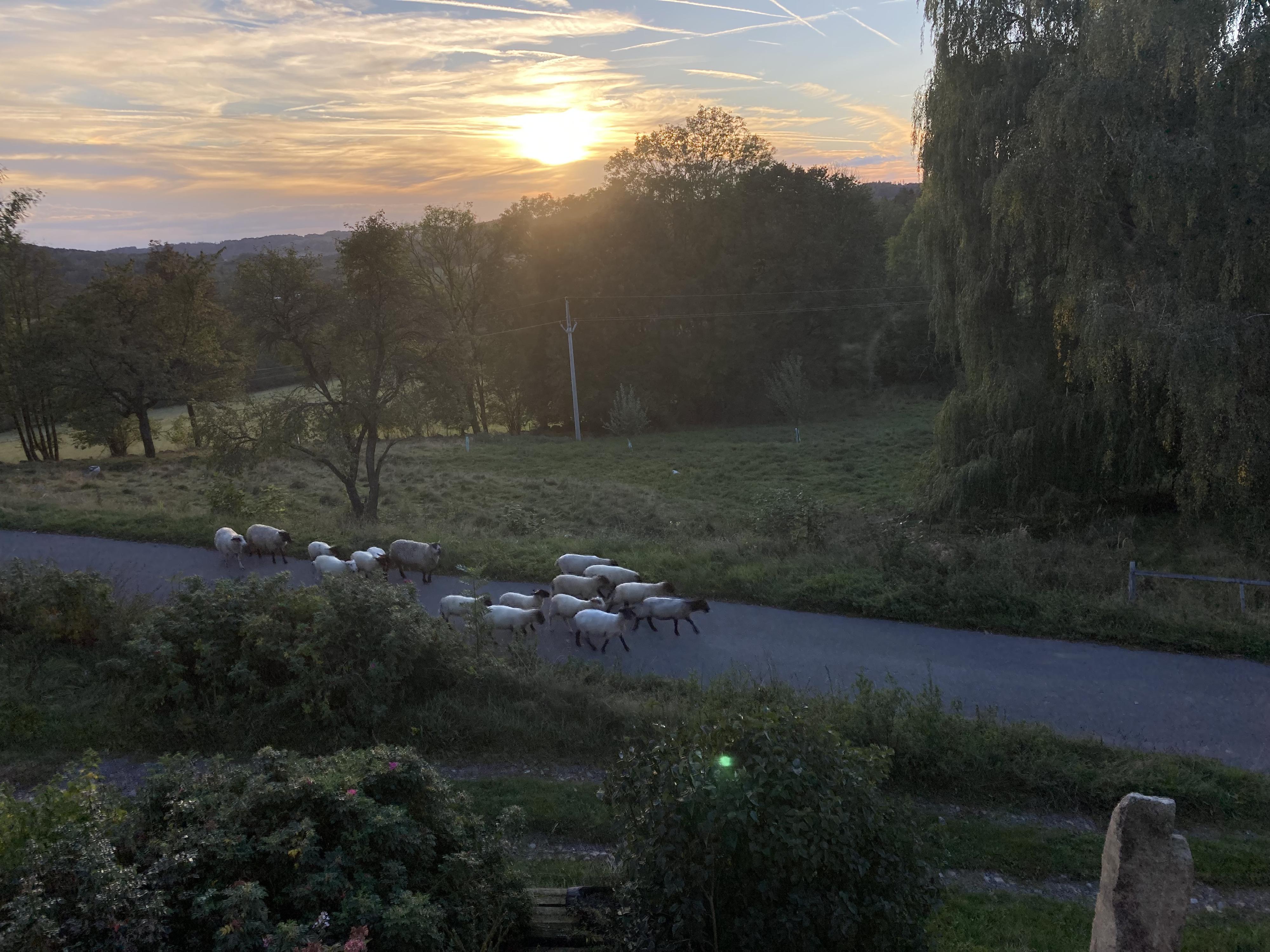 Chalupa Hodkov 7 foto 2