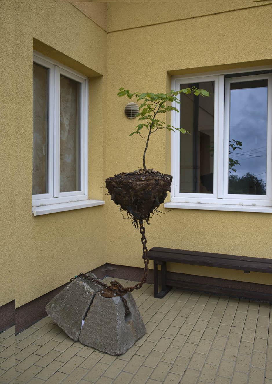 Ubytování Okrouhlo 147 foto 4