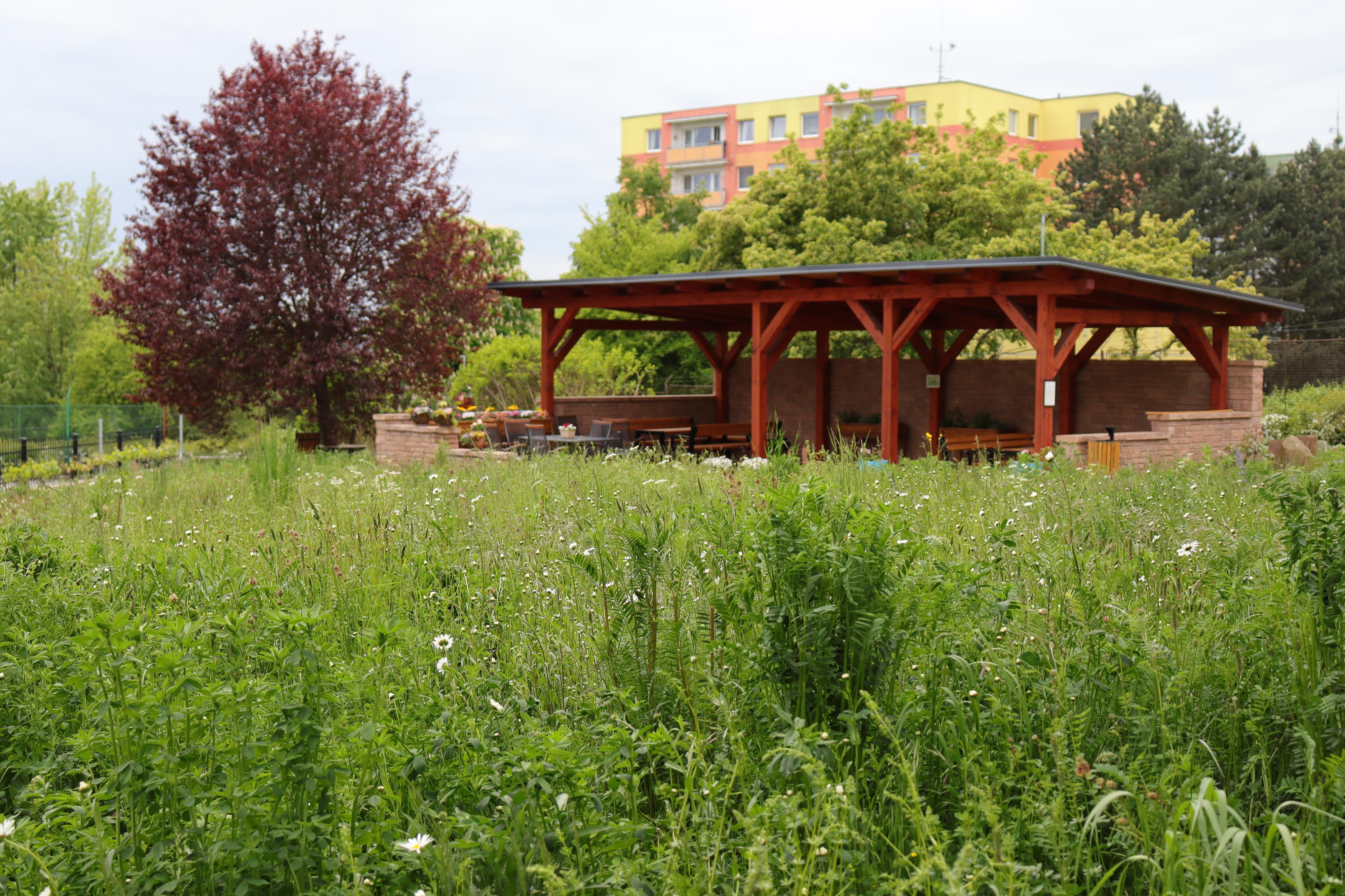 Domov pro seniory Krásné Březno foto 4