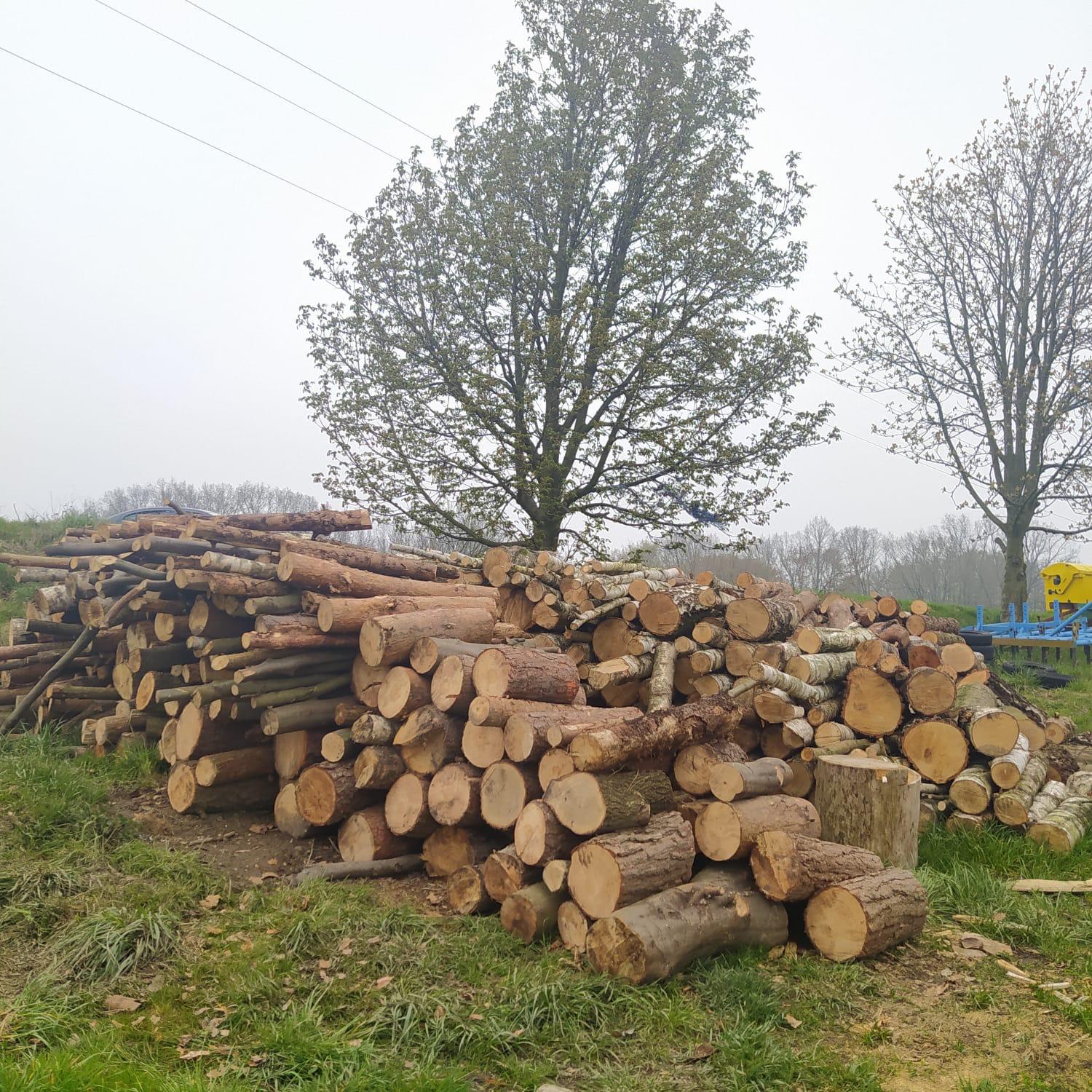 Palivové dřevo Krettek foto 4