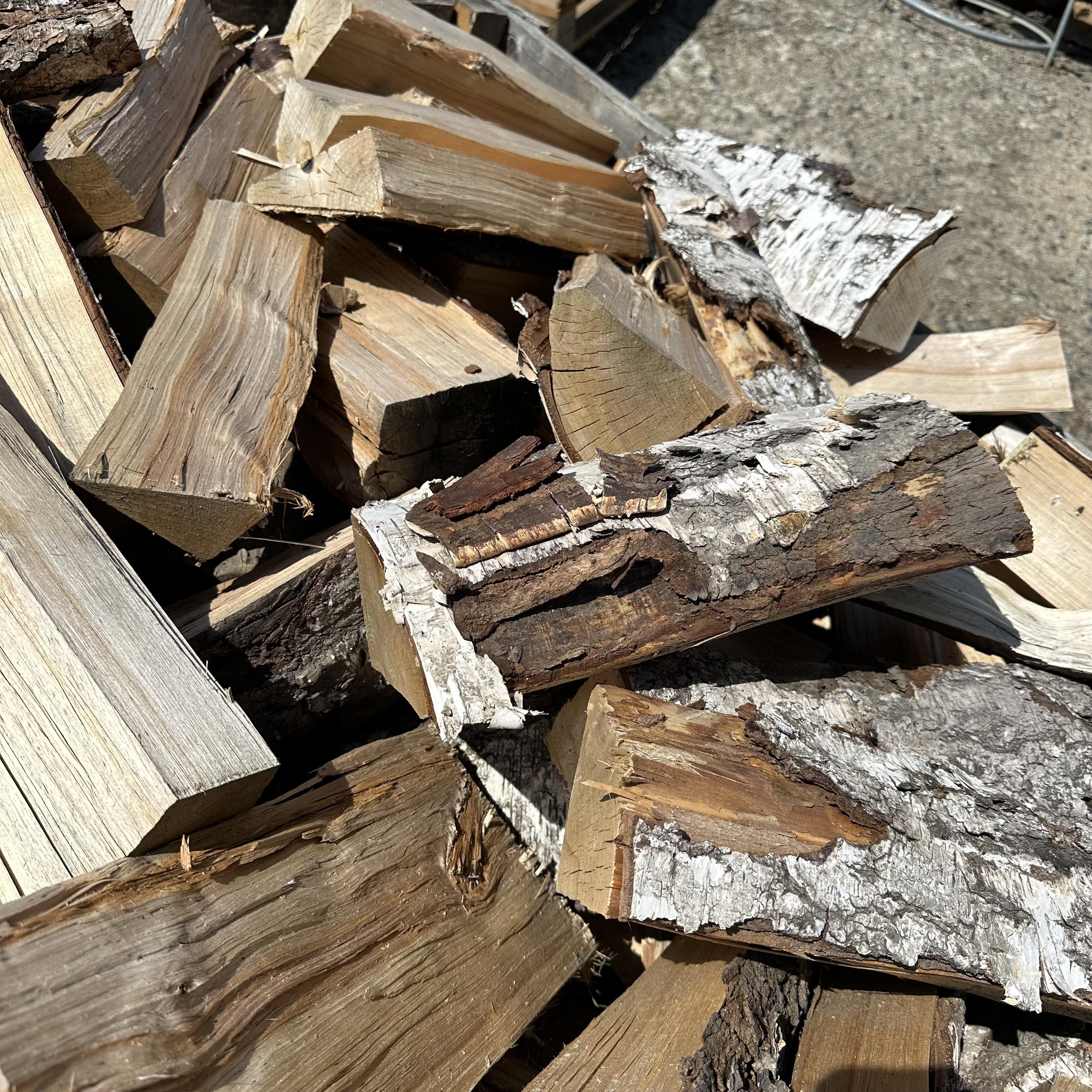 Pila Doležal foto 3