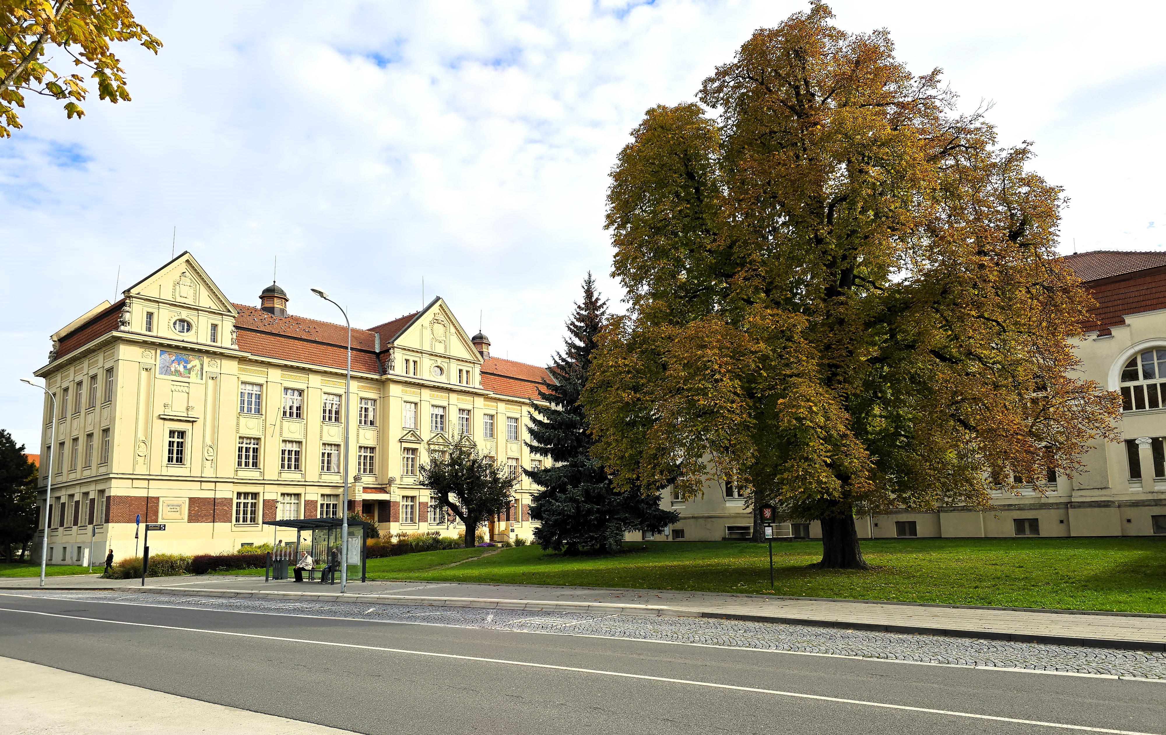 Základní škola a mateřská škola Prostějov, Palackého tř. 14 foto 5