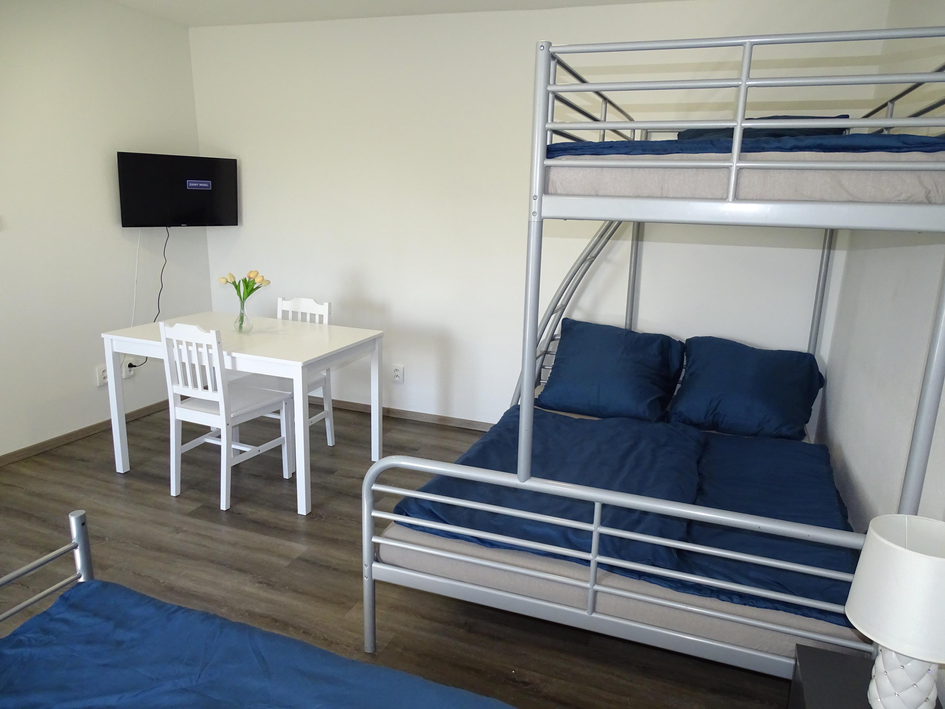 Apartmán Oldřich Veselý foto 3