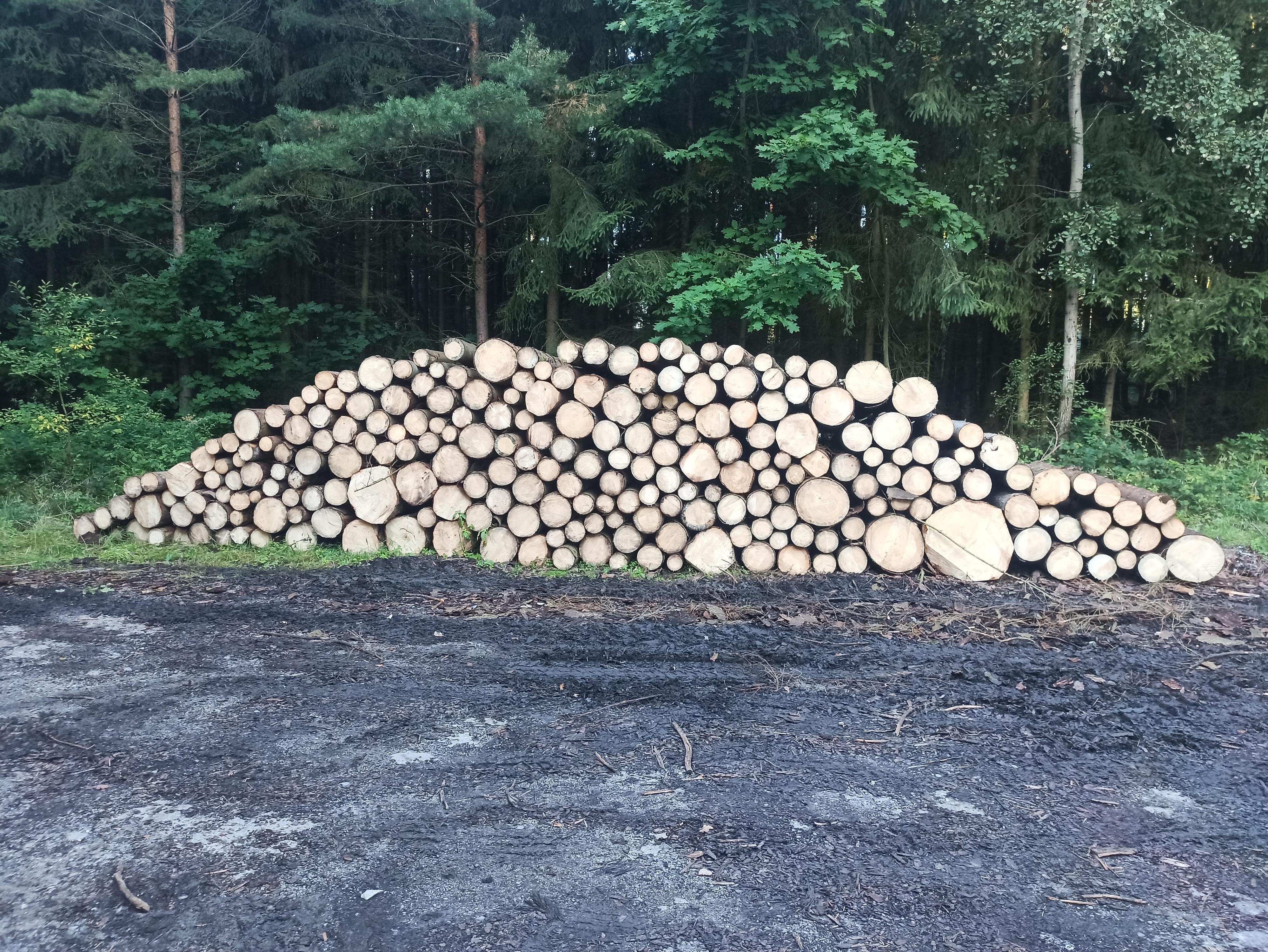 Správa lesů města Soběslavi, s.r.o. foto 4