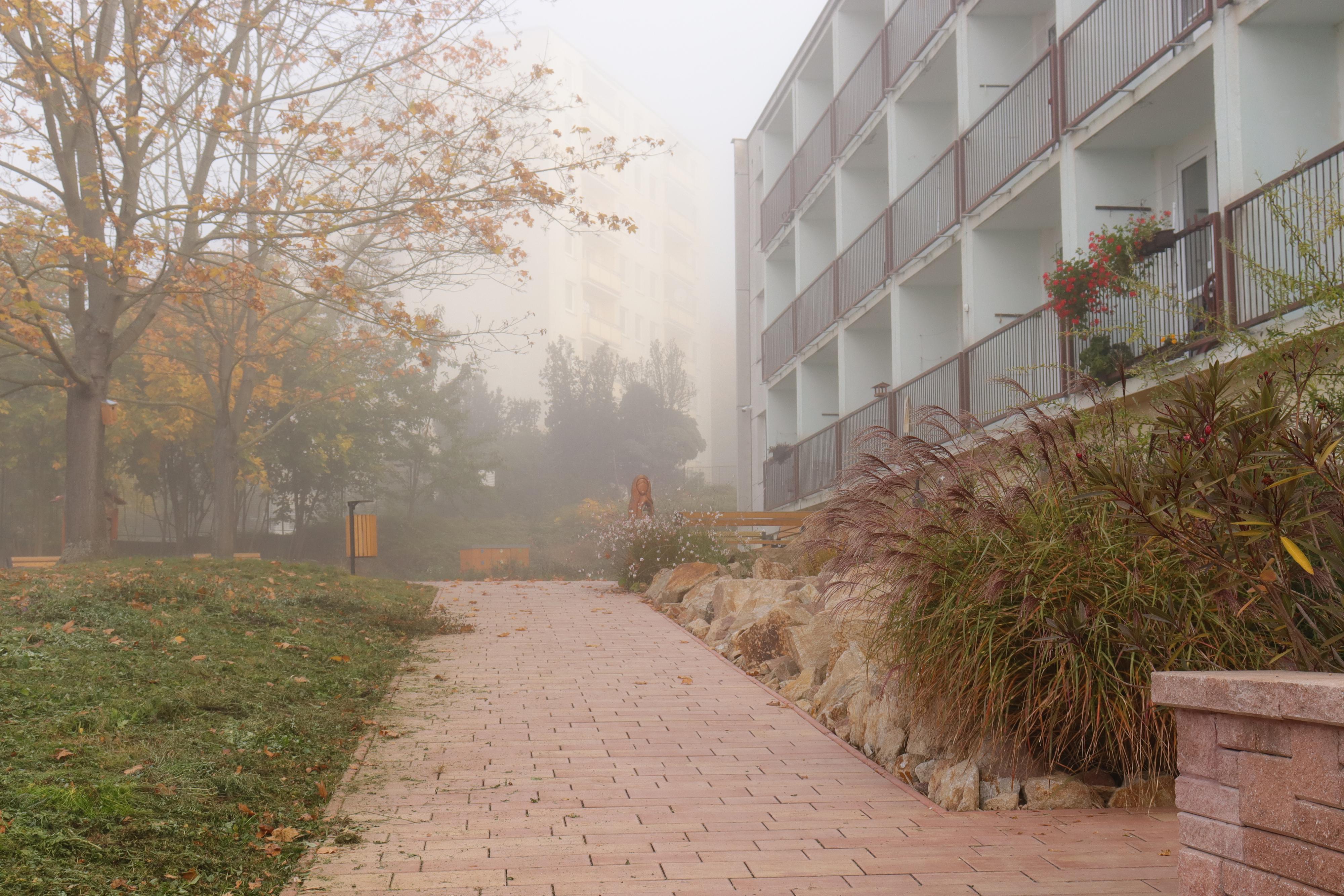 Domov pro seniory Krásné Březno foto 6