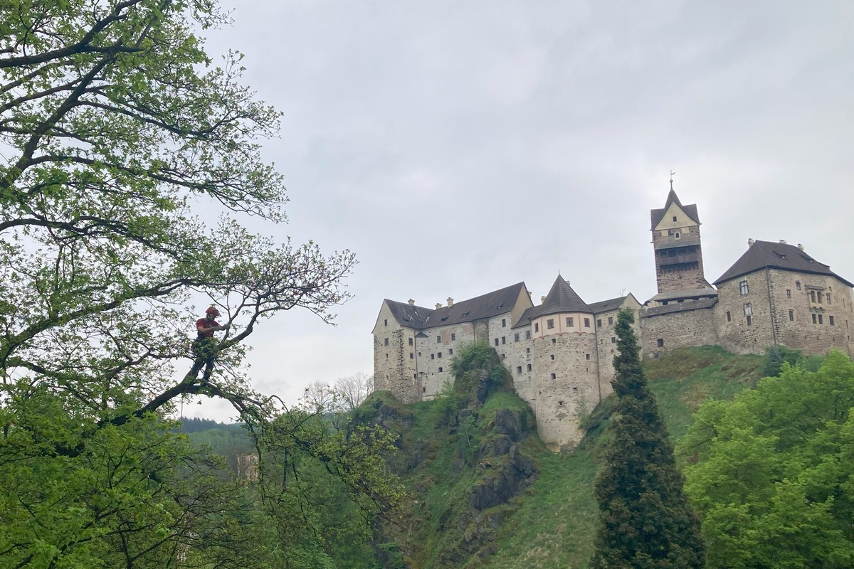 Zdeněk Blažek - Top Trees