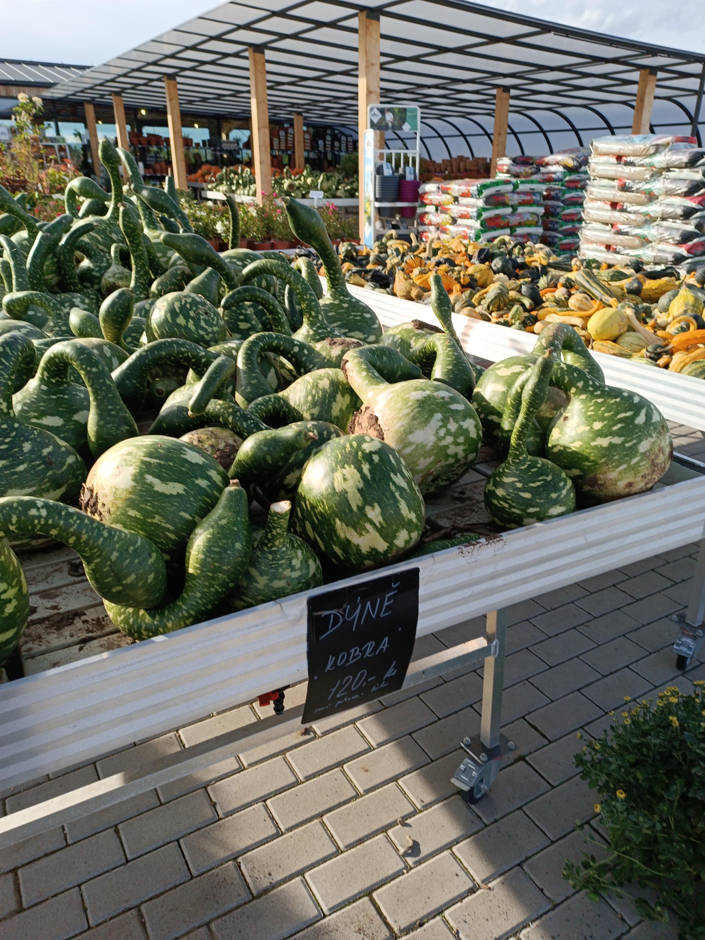 Rodinná farma Hrdlička, s.r.o. foto 4