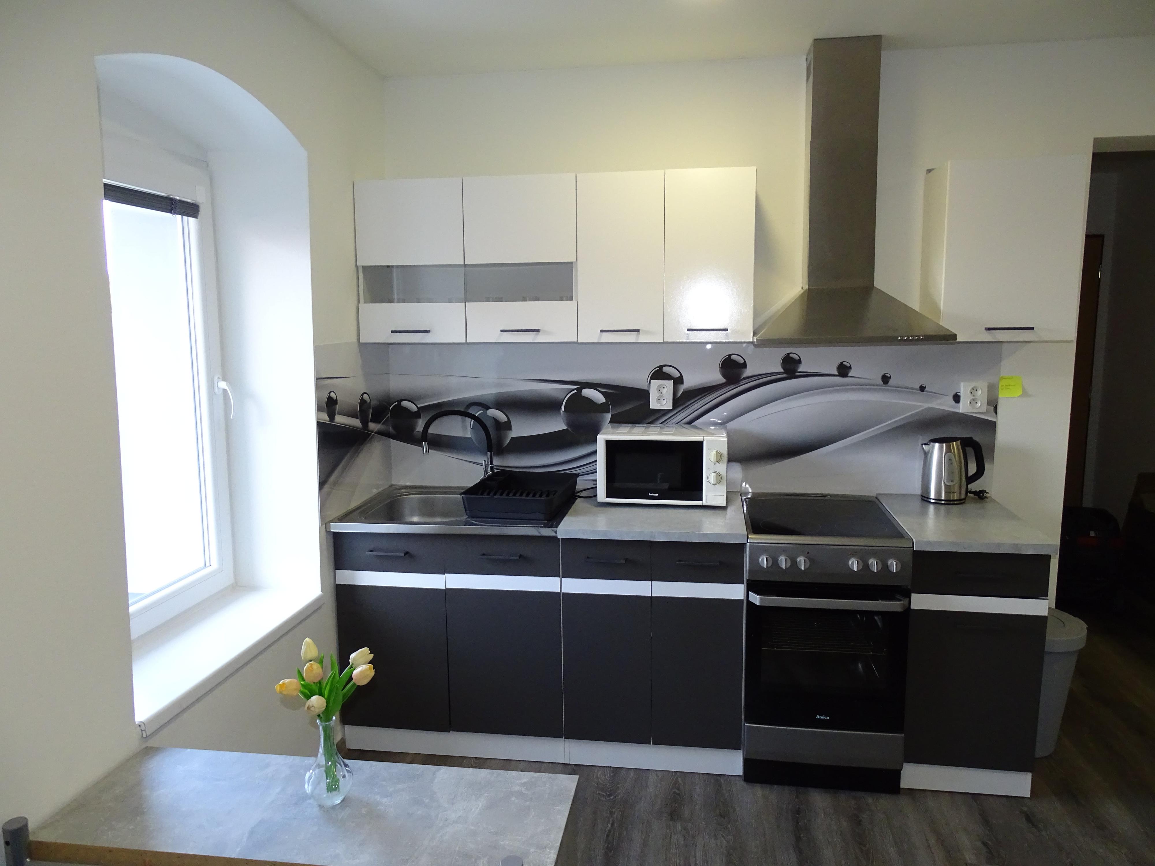 Apartmán Oldřich Veselý foto 6