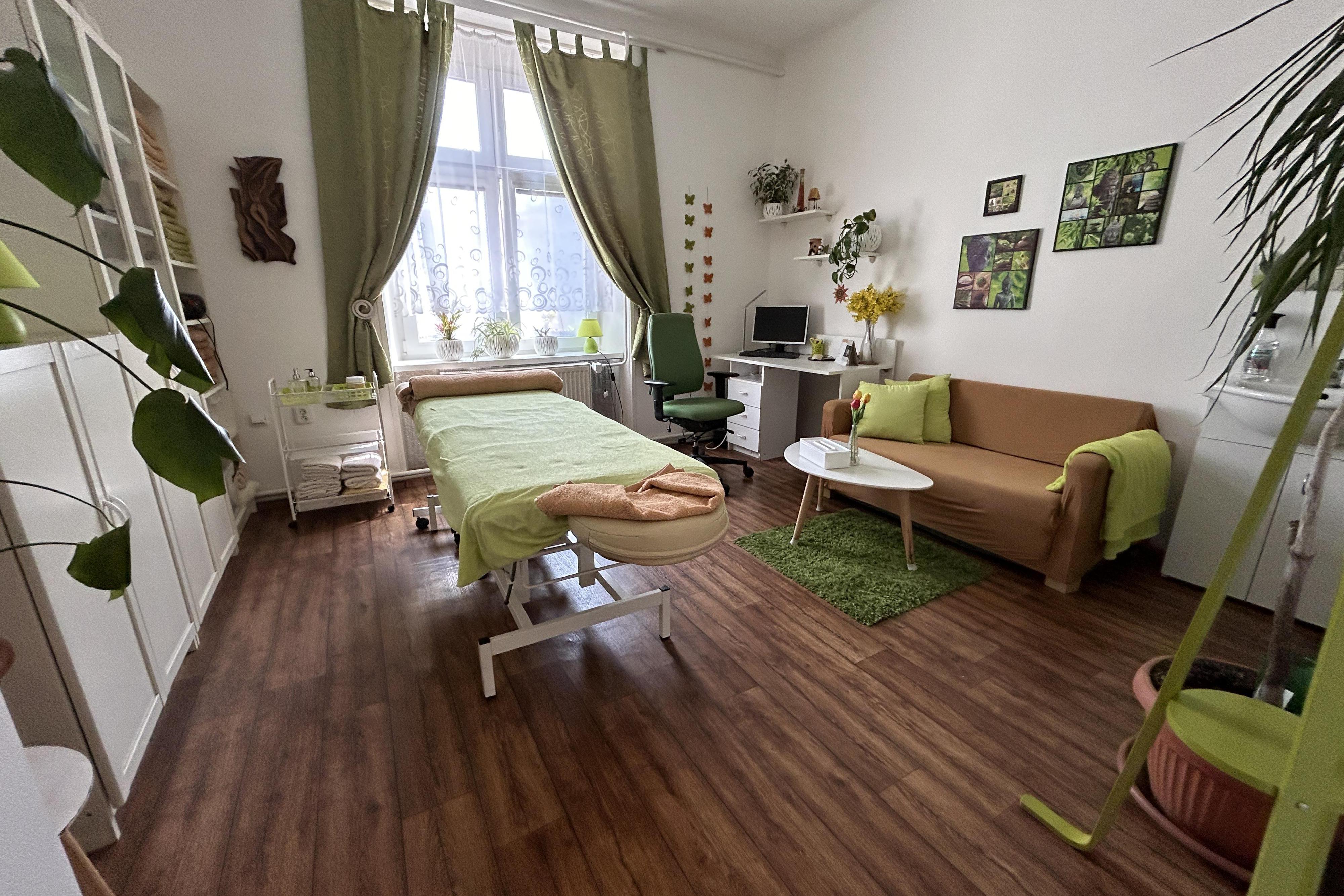 Terapeut TCM (čínské medicíny) - Ing. Kamila Boubelíková