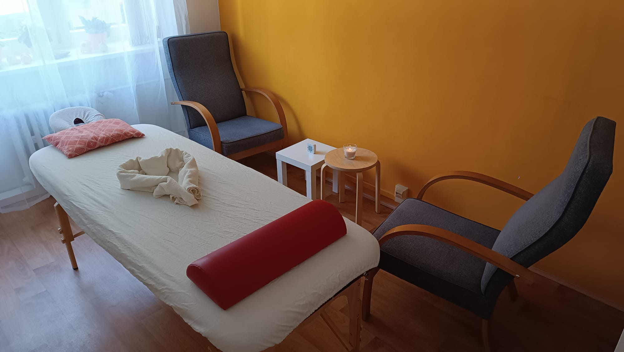 Ing. Olivia Zídková, Alfa salon foto 2