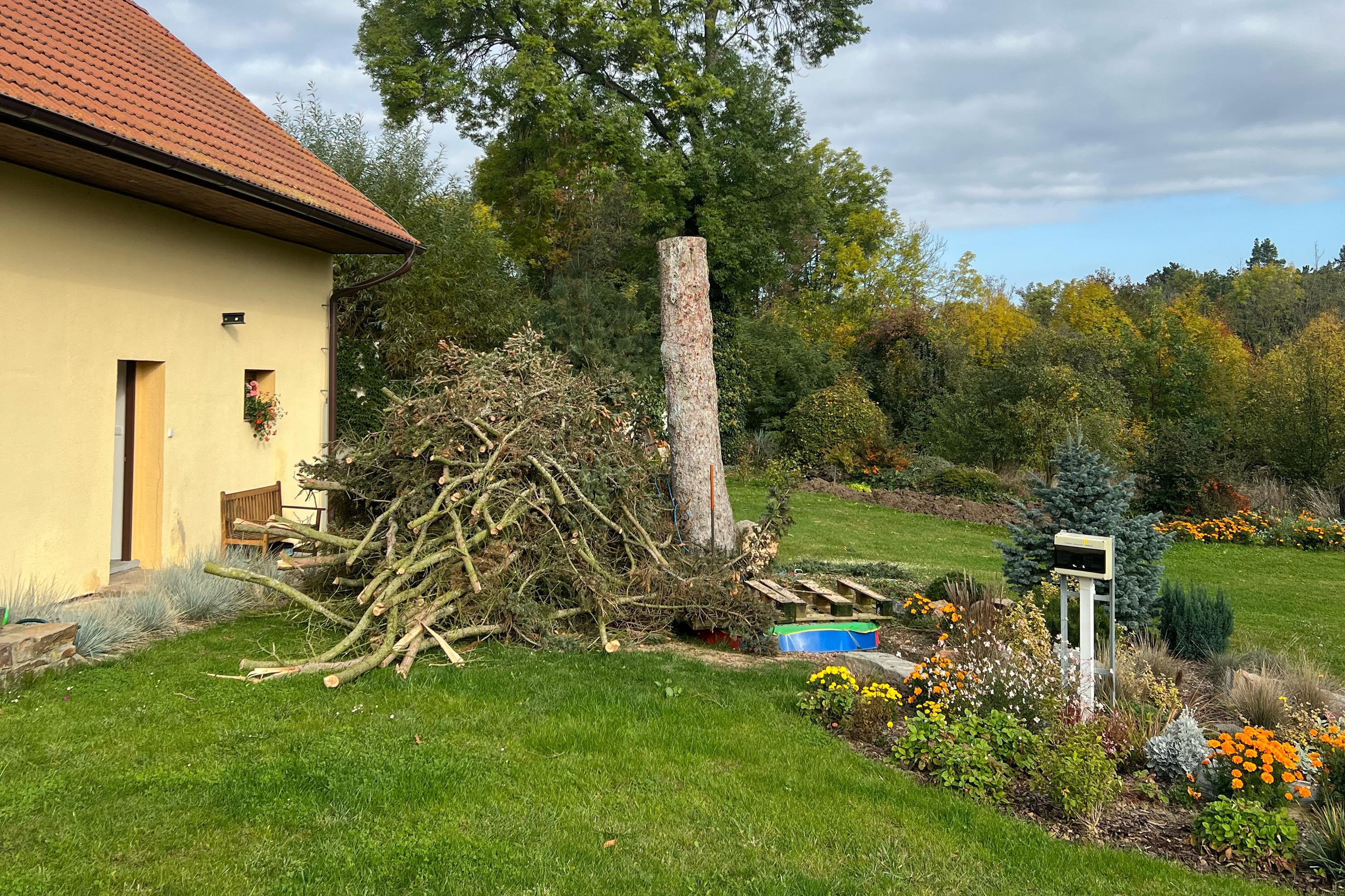 Štěpkování větví, vyřezáváním