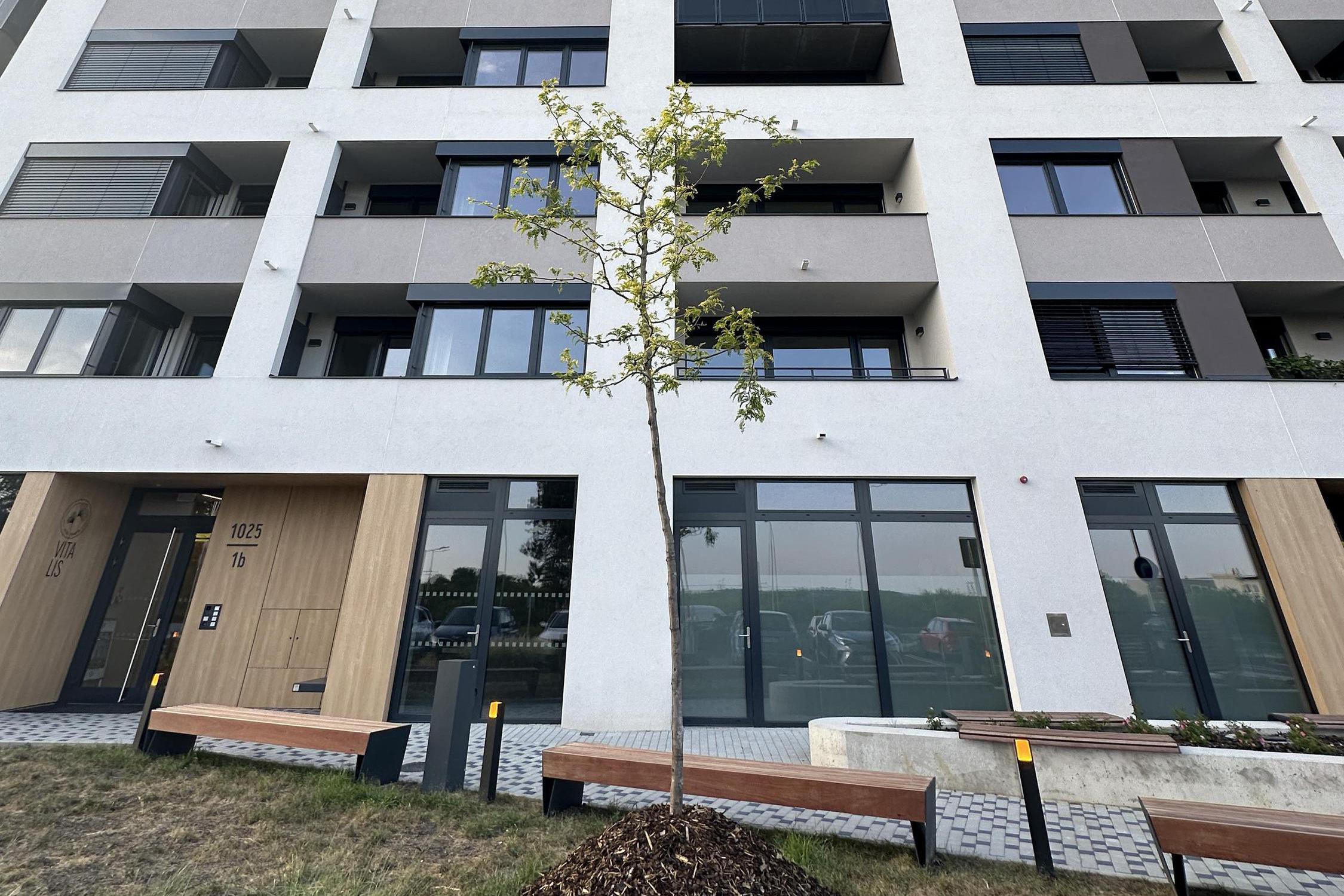 Dentální hygiena Kamýk