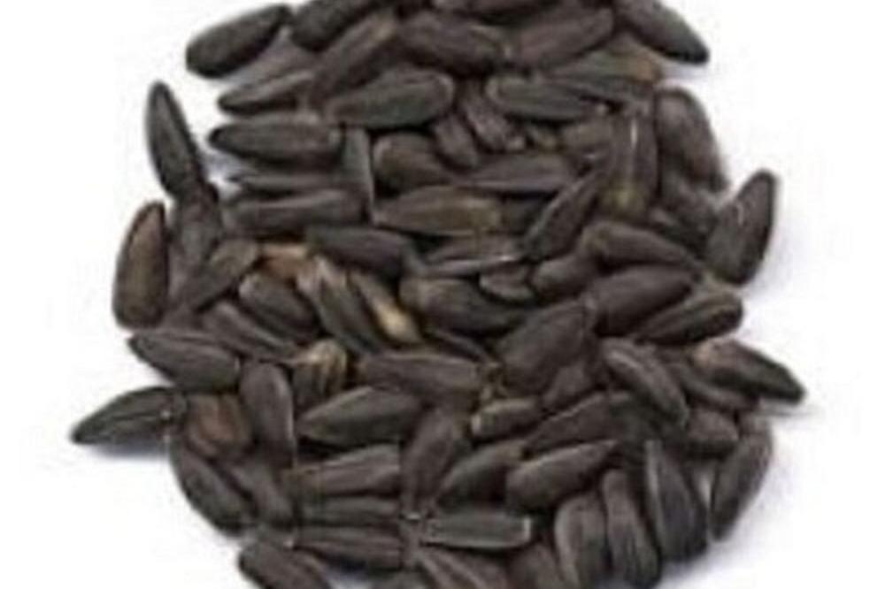 Slunečnice 1kg