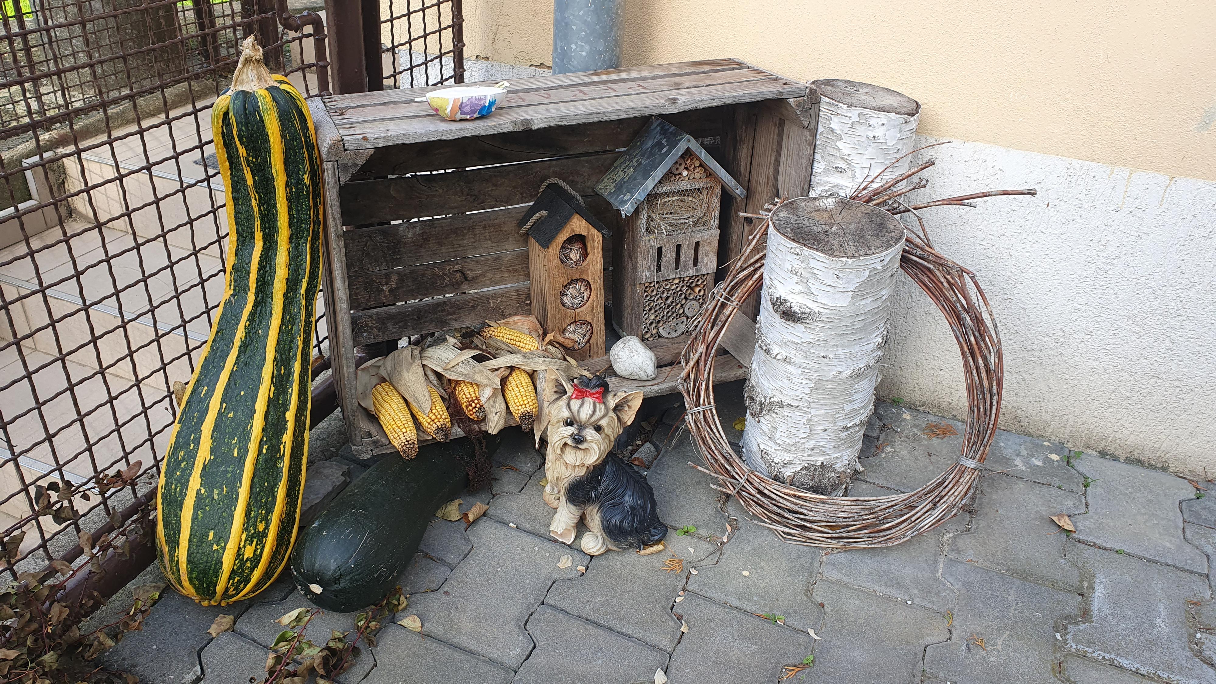 Svatoslav - obecní úřad foto 1