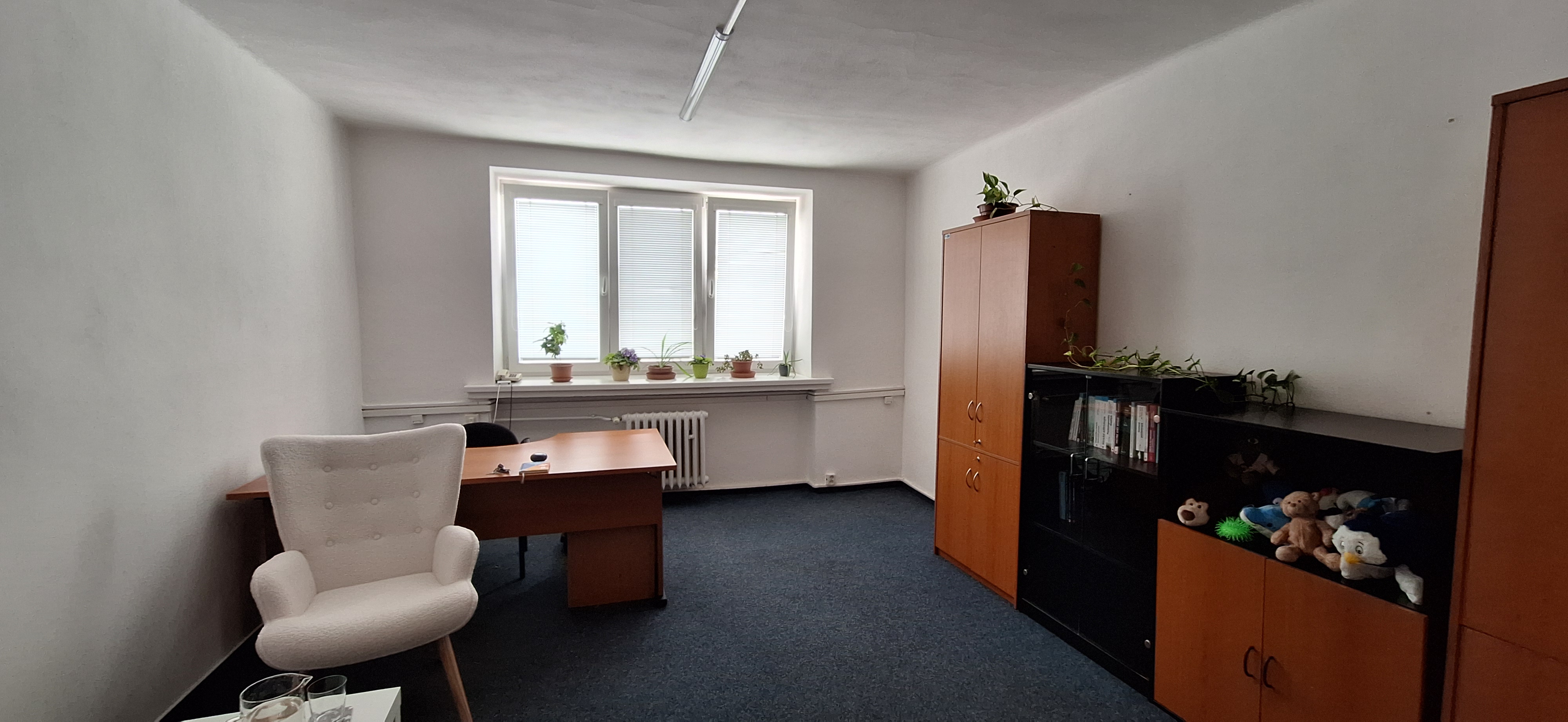 Mgr. Ivana Kožušníková - Psycholog foto 3