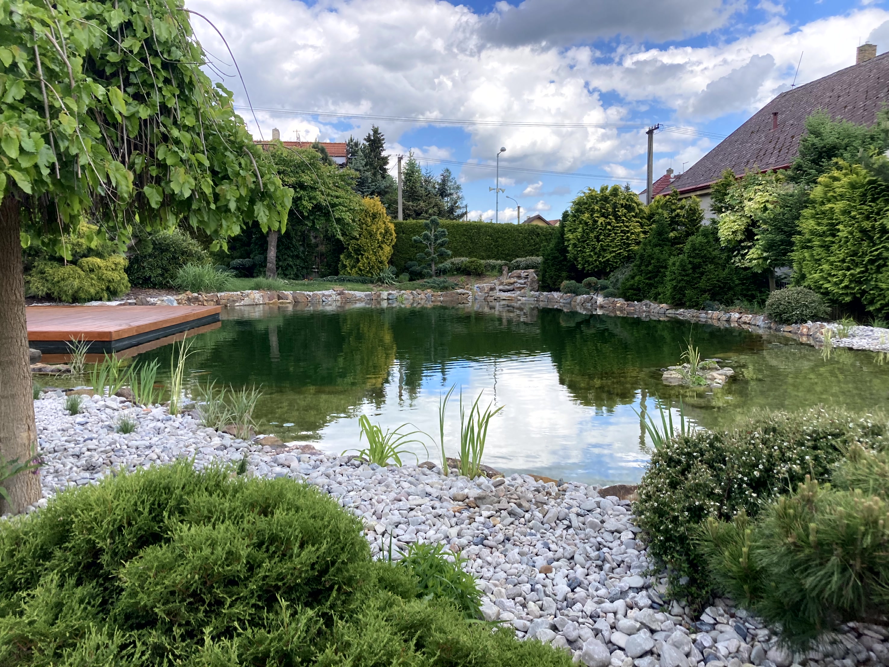 Koigarden.cz foto 3