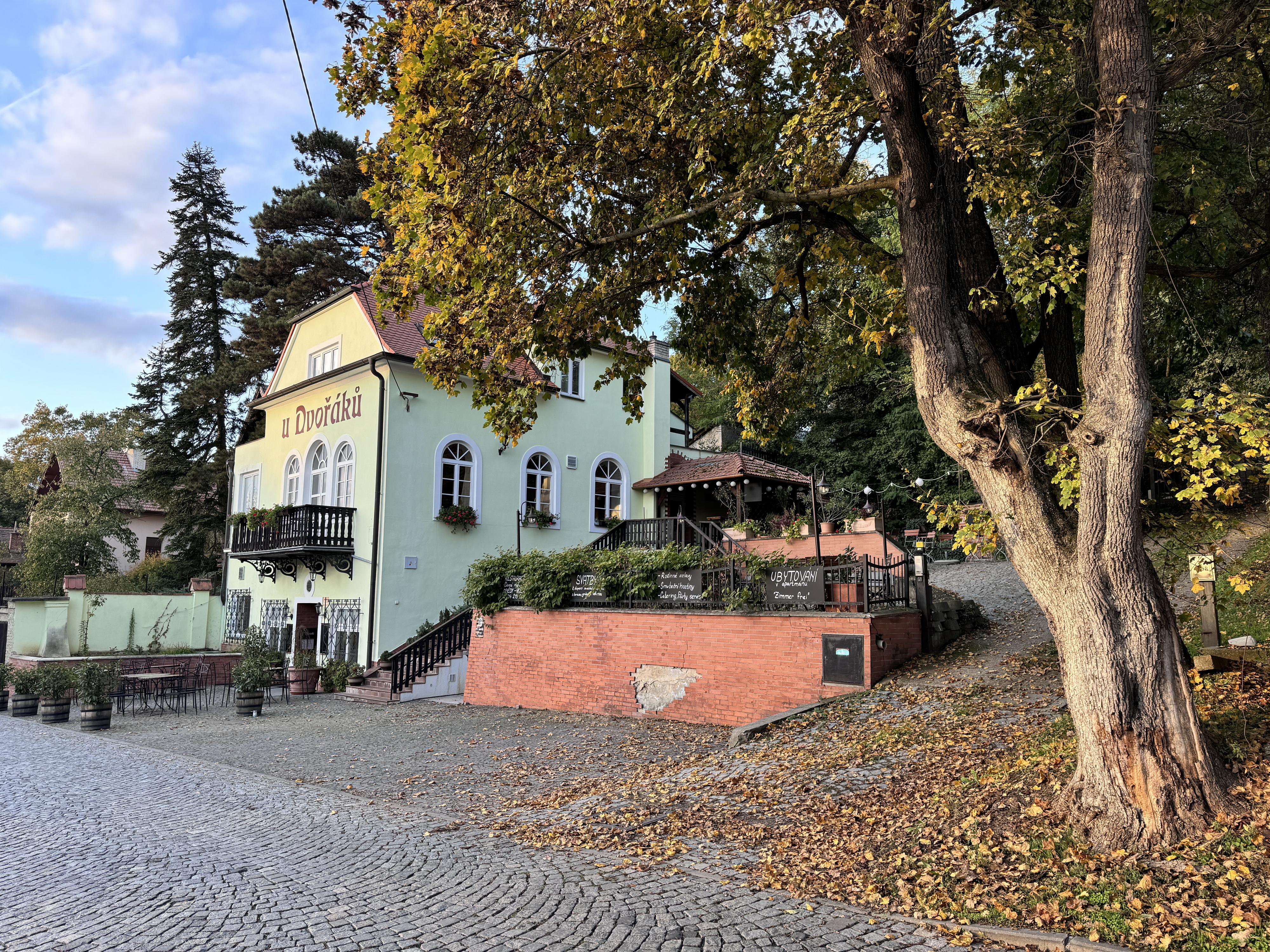 Restaurace U Dvořáků foto 6