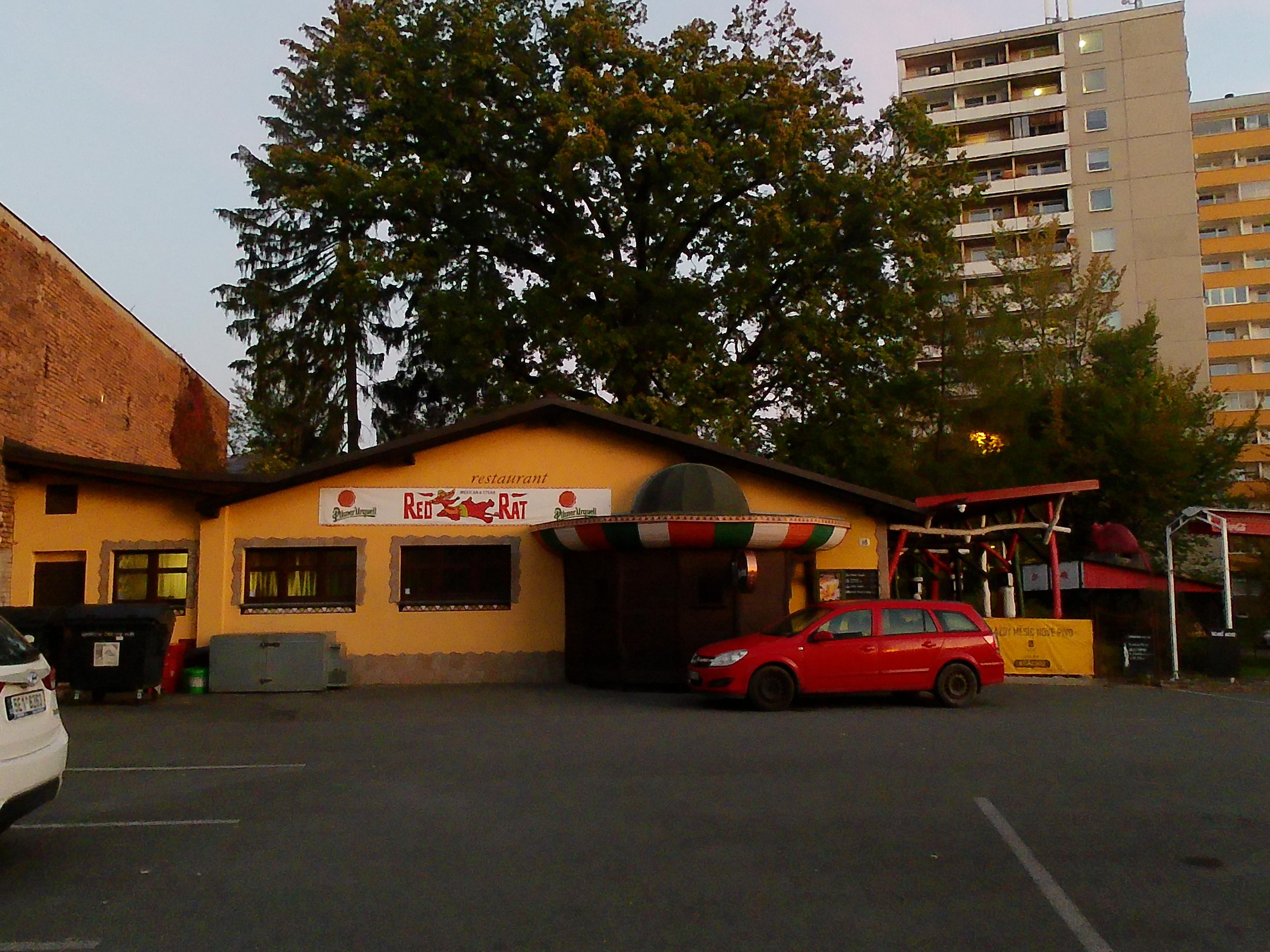 Red Rat Steak Republic foto 3