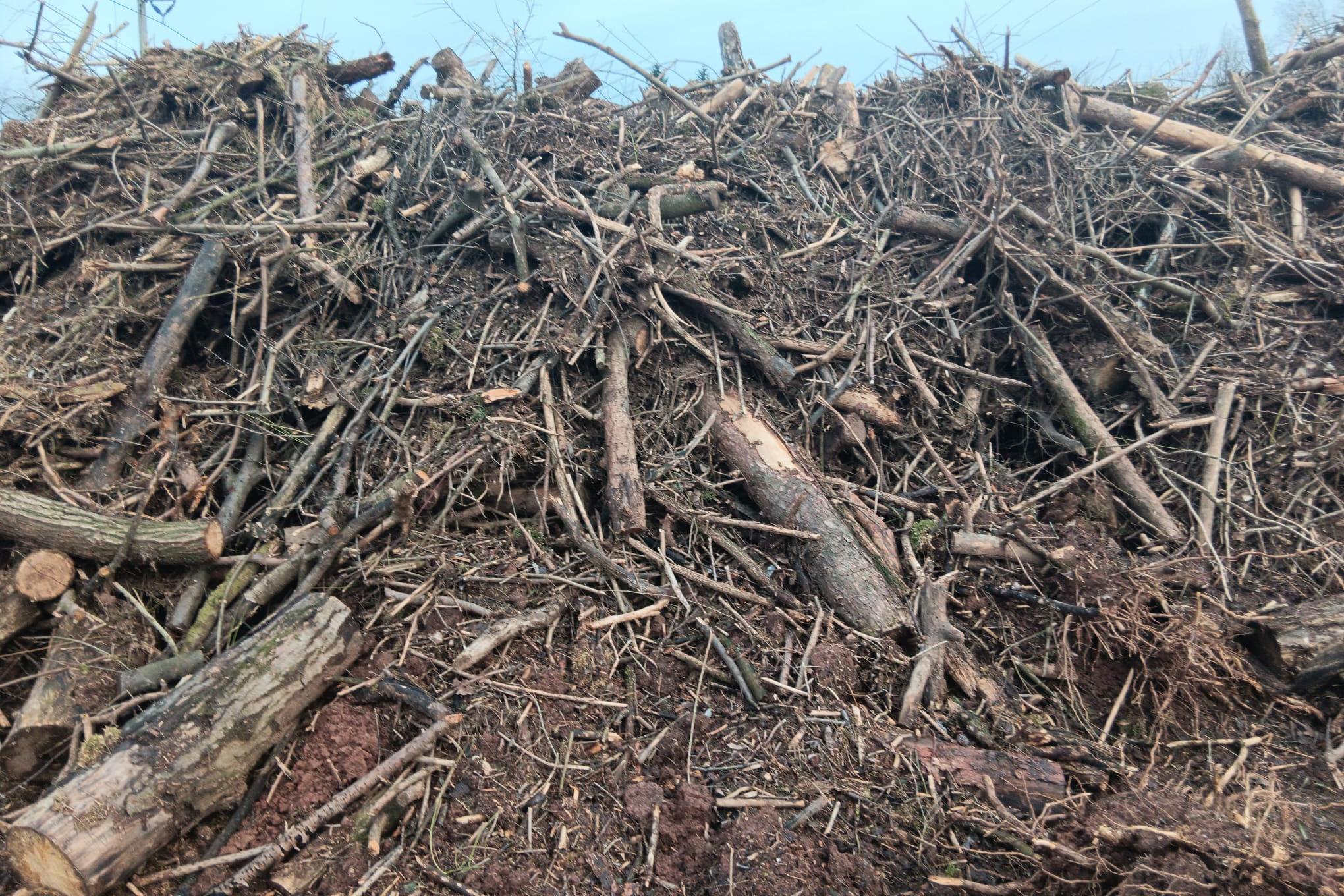 Výkup dřevní biomasy