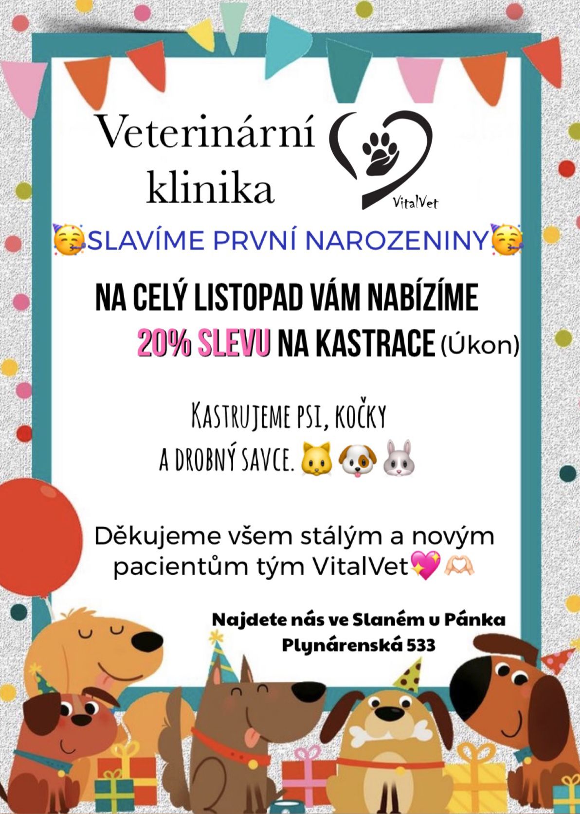 VitalVet s.r.o. - veterinární klinika foto 2