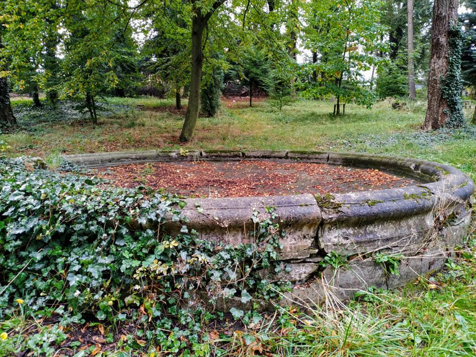 Lesní správa Jindřichův Hradec - Lesy České republiky foto 5